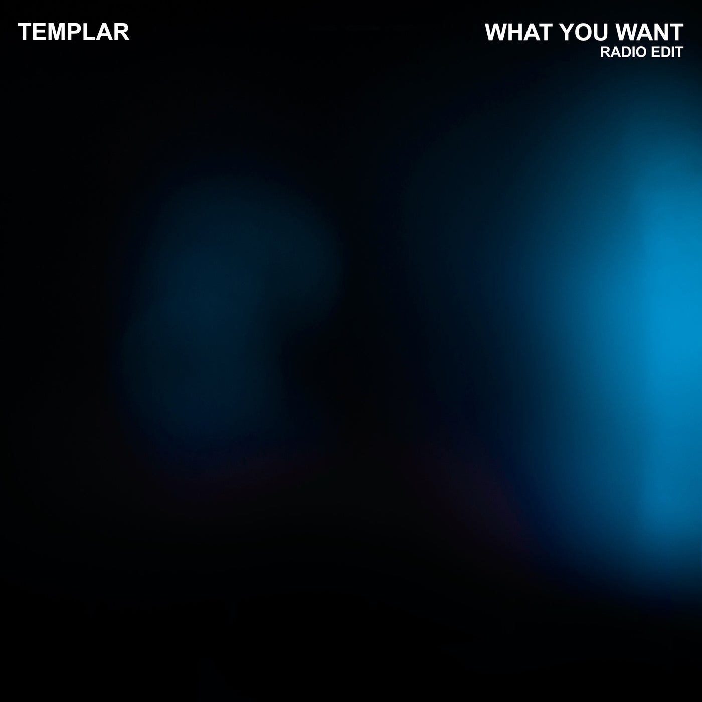What You Want (Radio Edit)