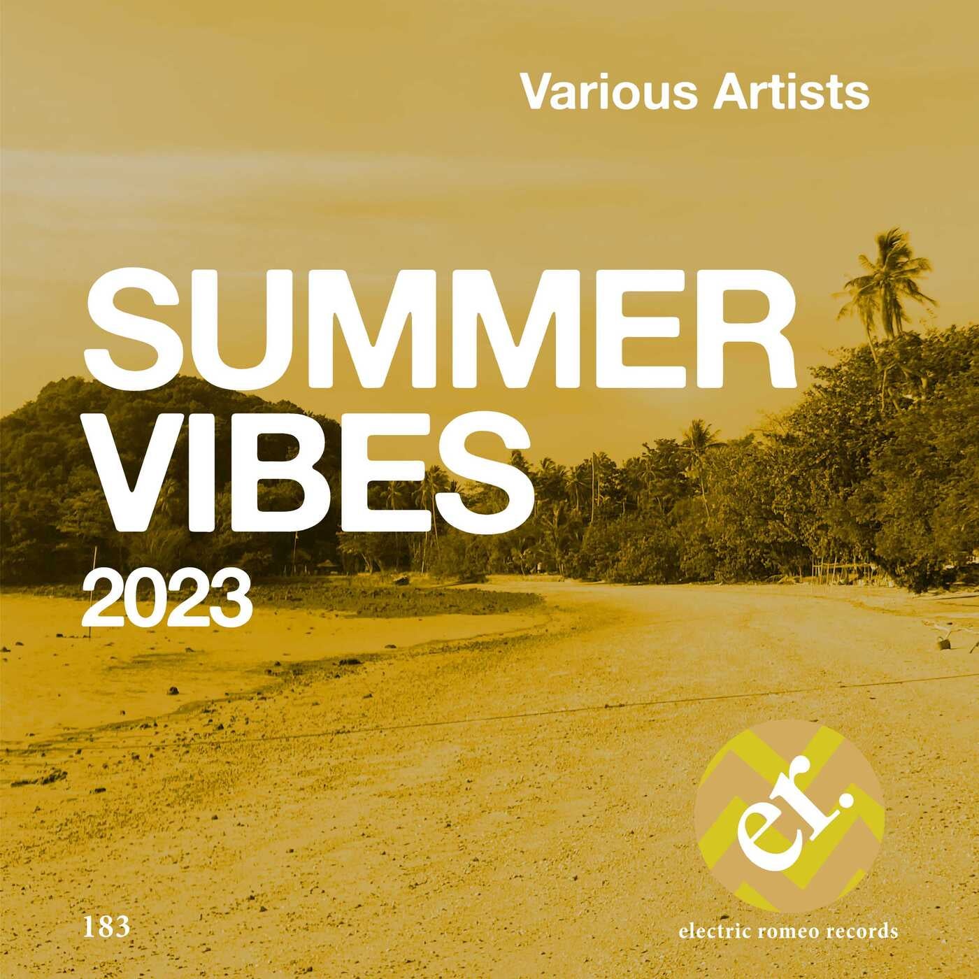 Various Artists Summer Vbes 2023