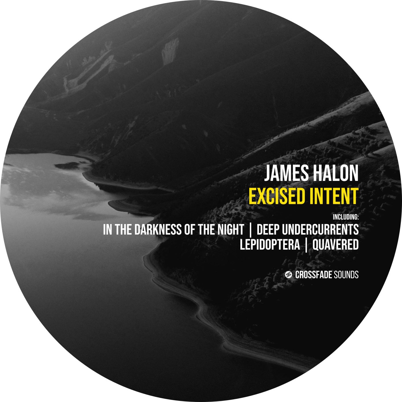 Excised Intent