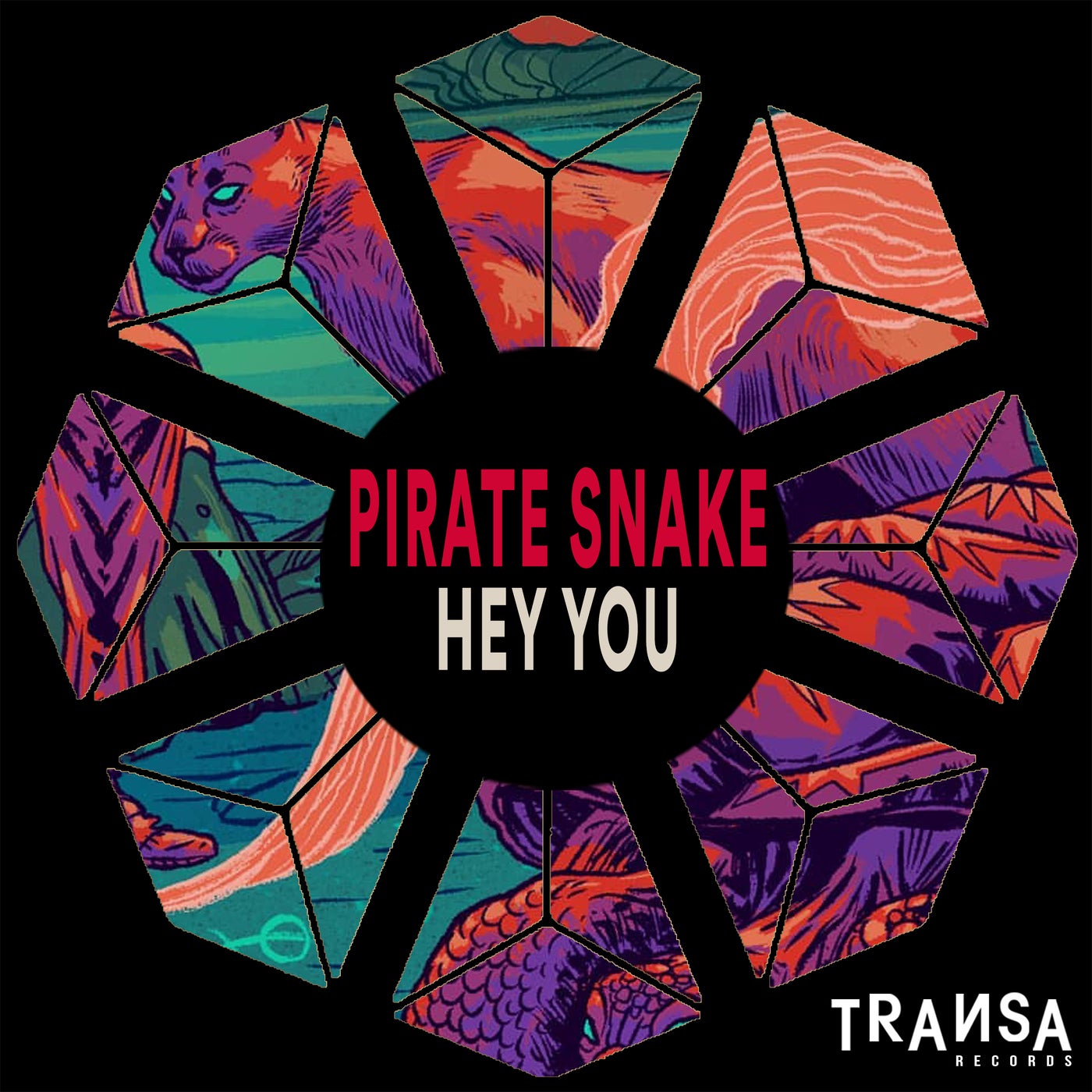 Pirate Snake Music Download Beatport Sidney samson let's bleep (basy) 5:22. pirate snake music download beatport