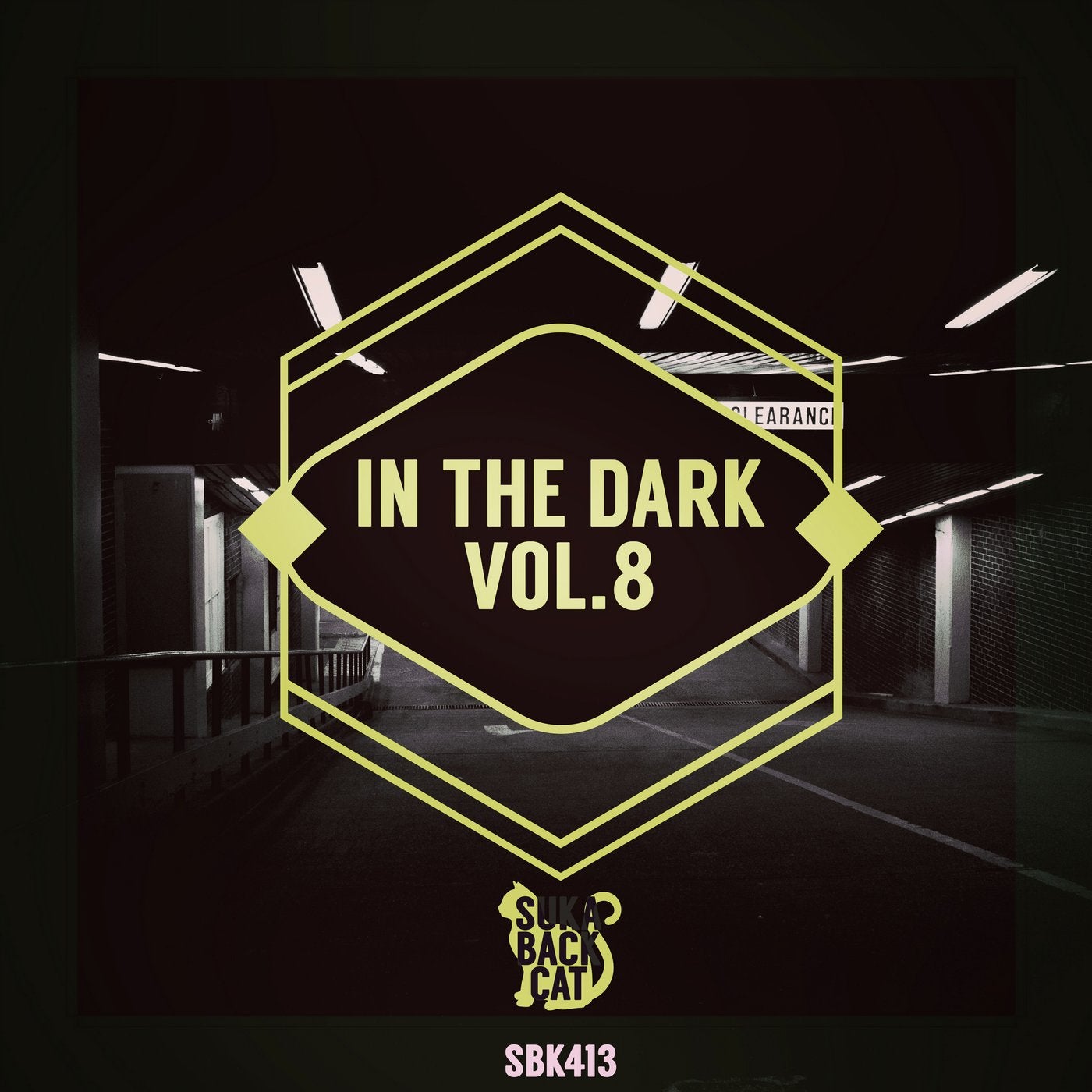In the Dark, Vol.8