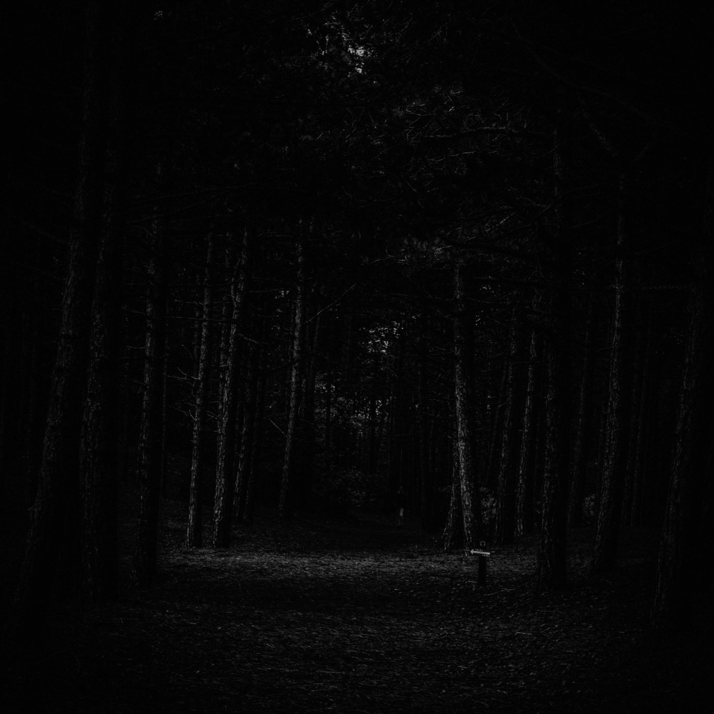 Nightmare Frequencies
