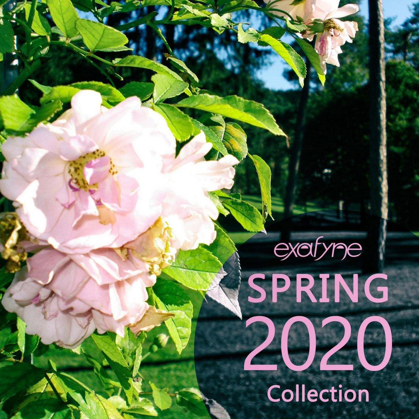 Spring 2020 Collection (Radio Edits)