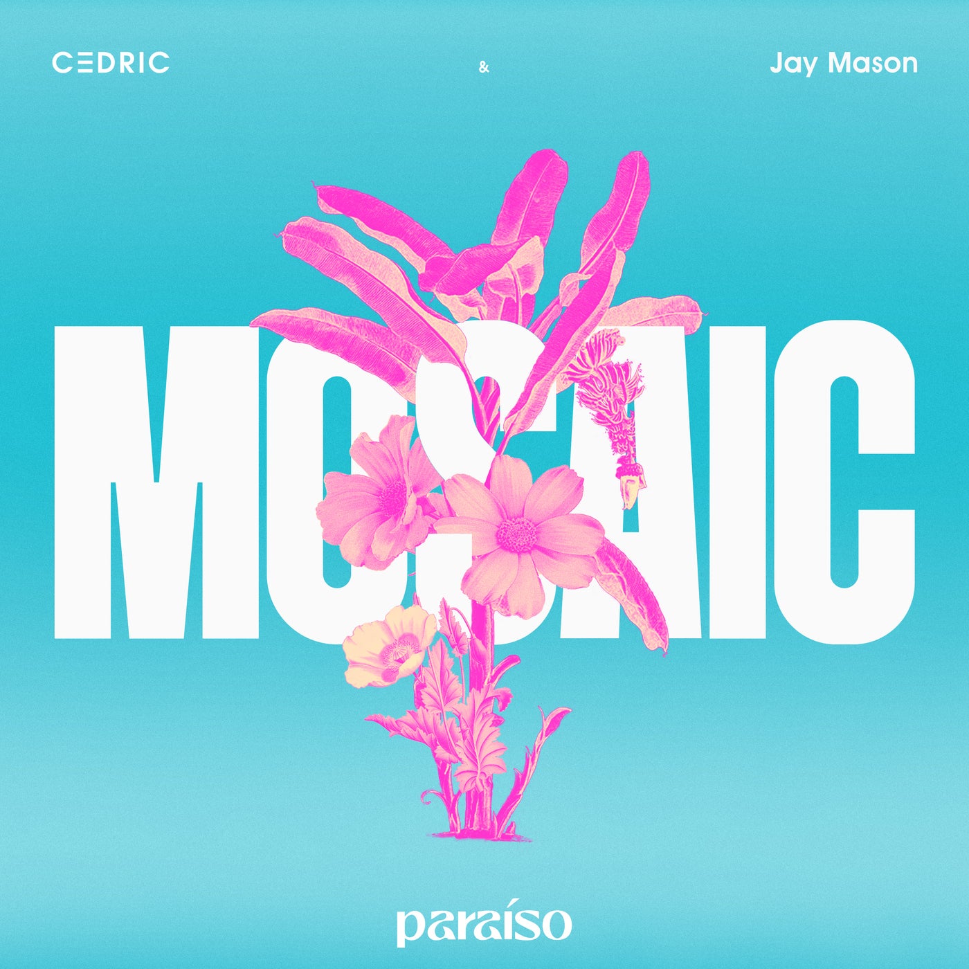 Mosaic (Extended Mix)