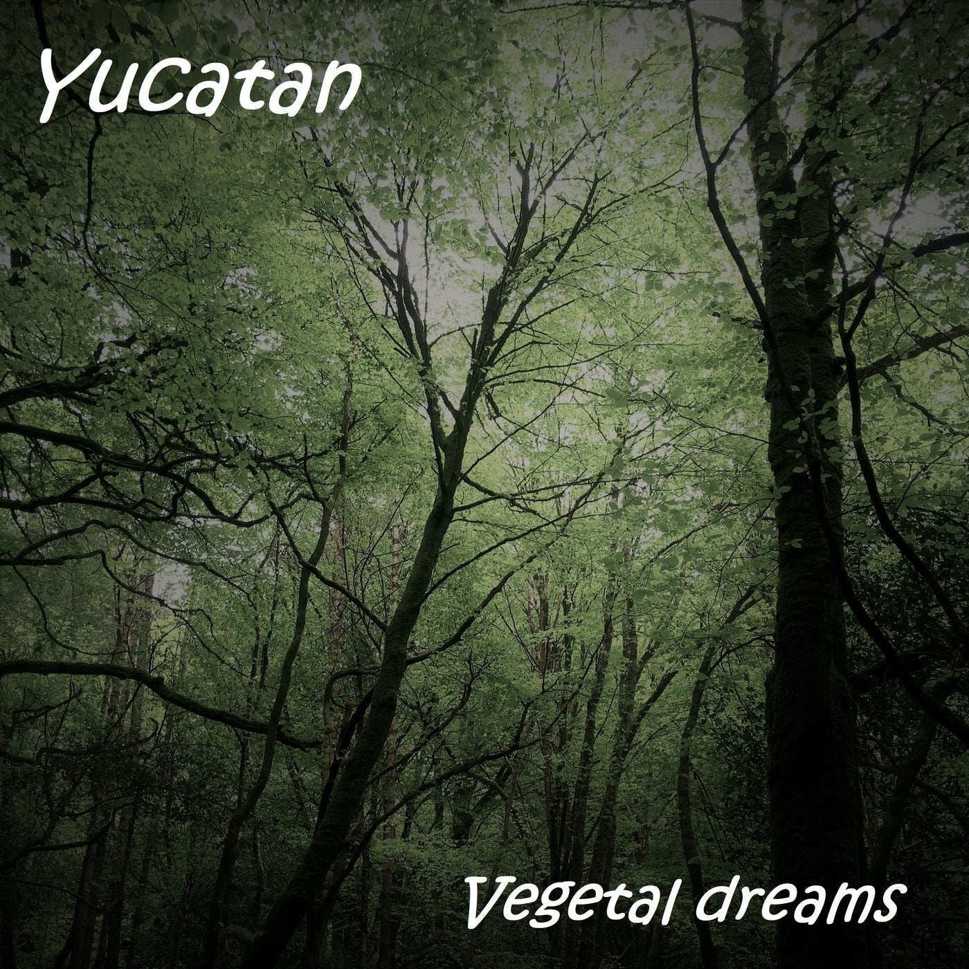 Vegetal Dreams