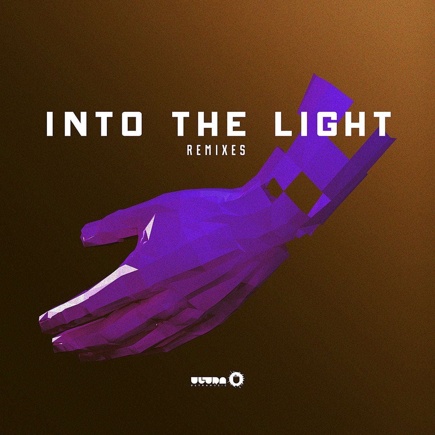 The light remix. Into the Light. Matt Light.