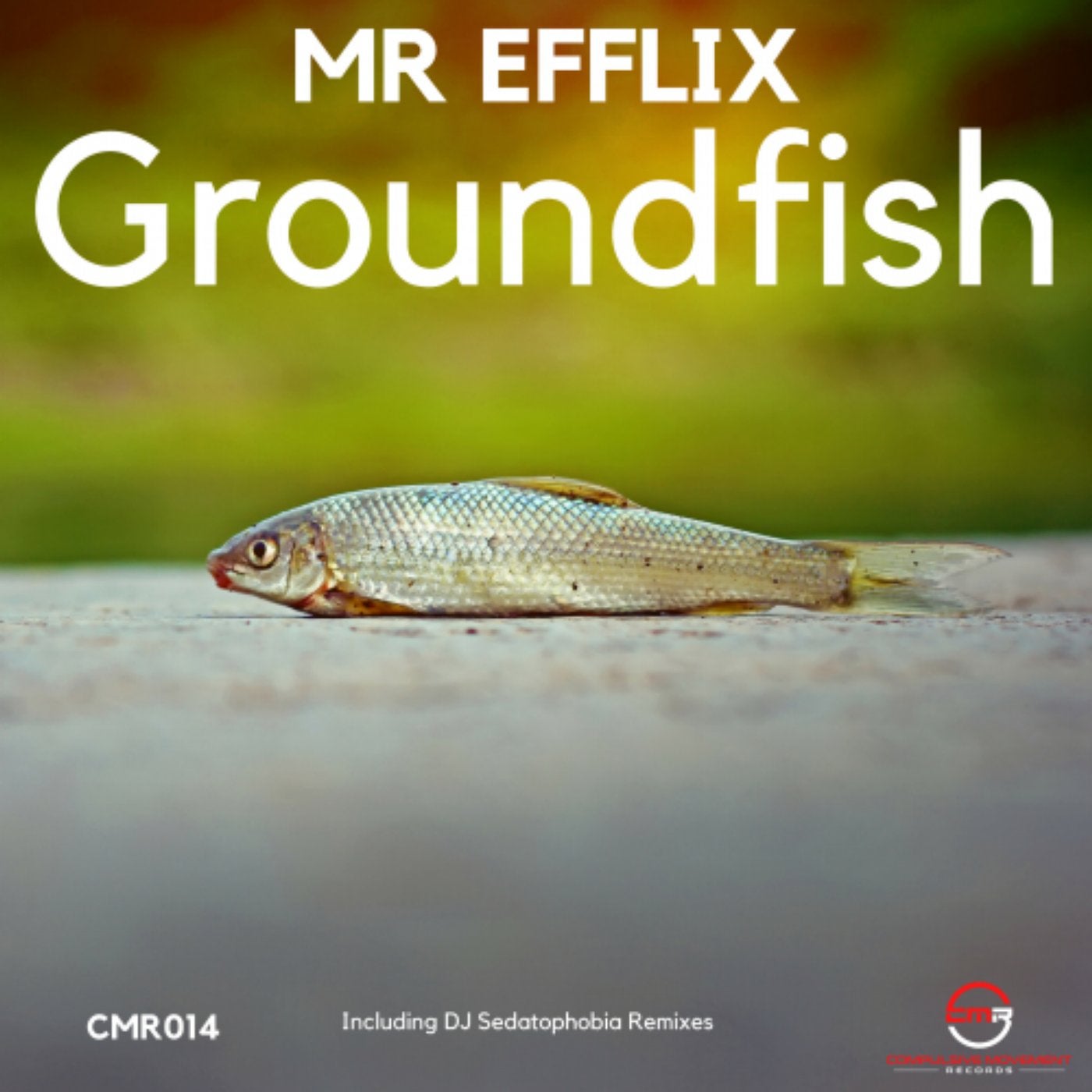 Groundfish EP