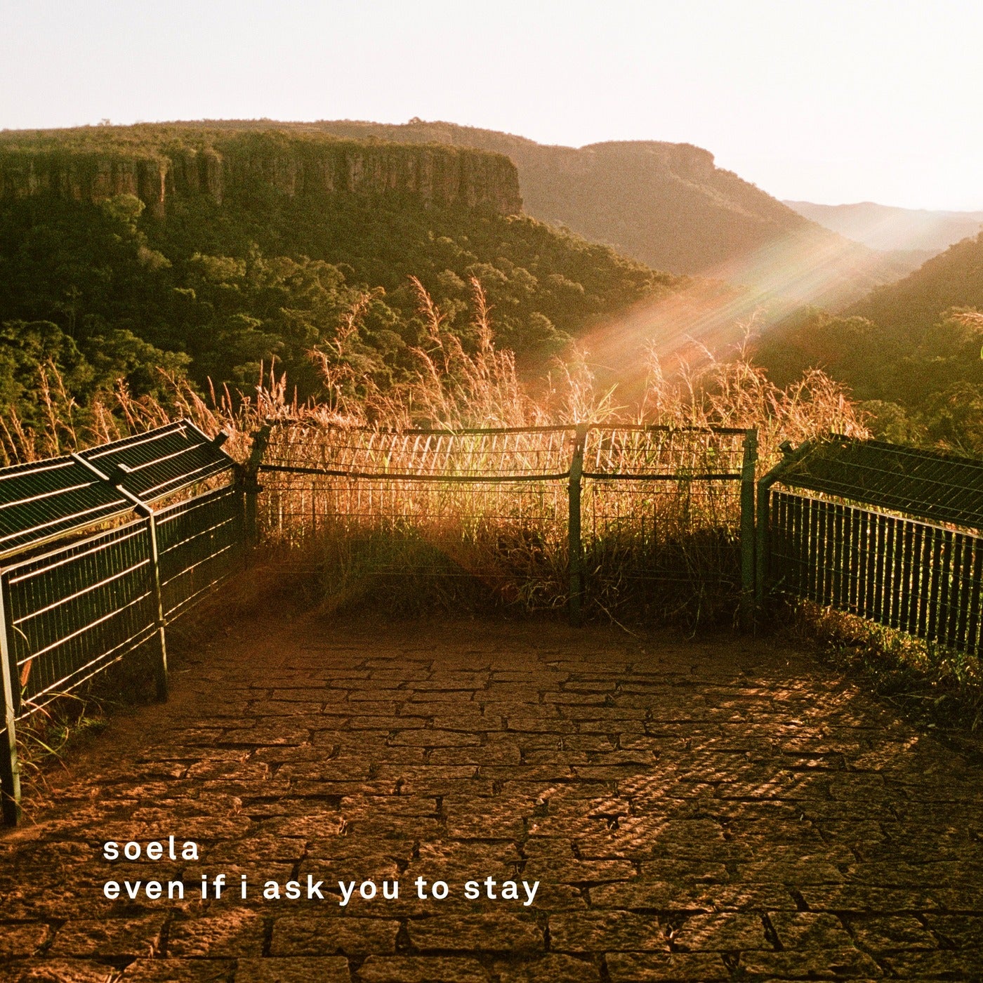 Even If I Ask You To Stay