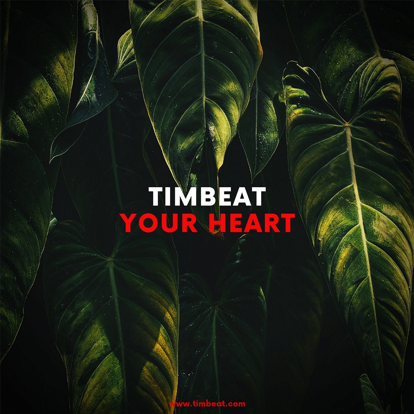 Timbeat Music Art