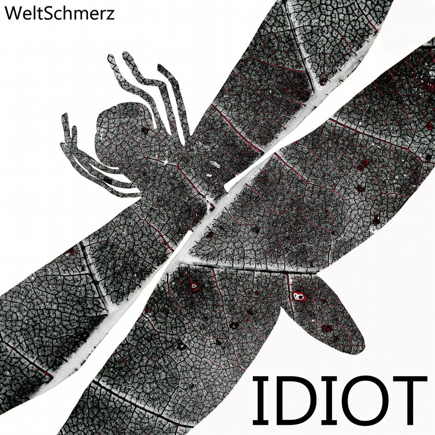 Idiot