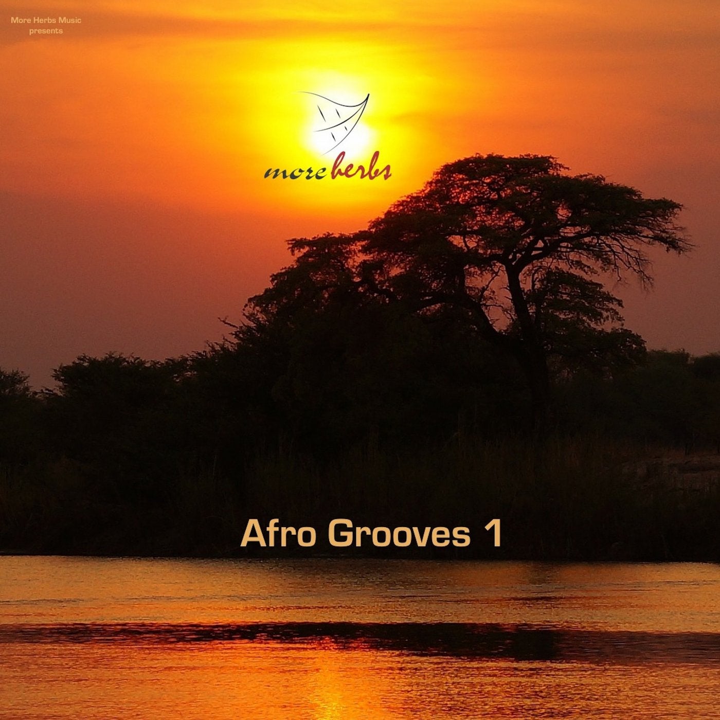 Afro Grooves 1