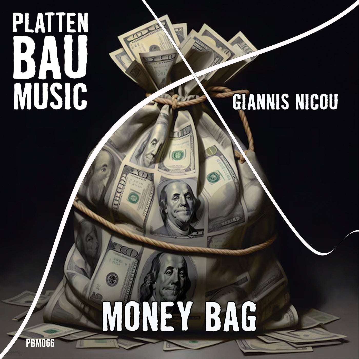 Money Bag