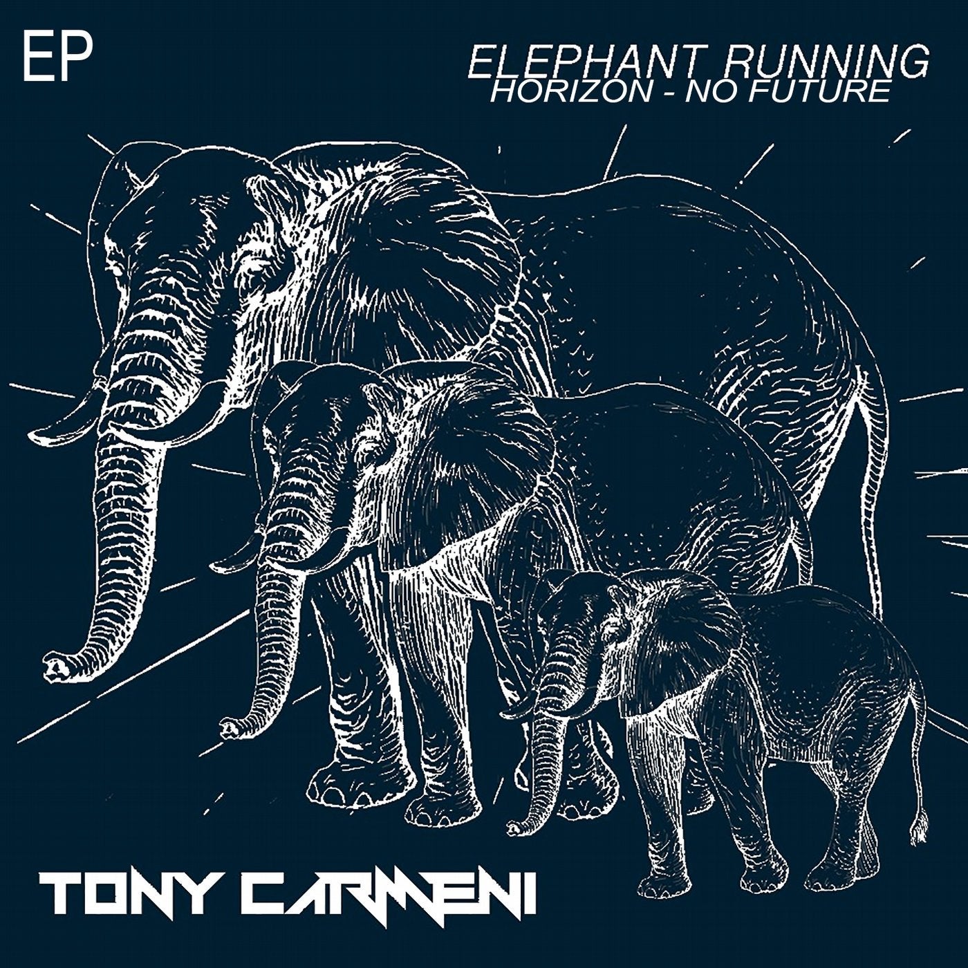 Elephant Running