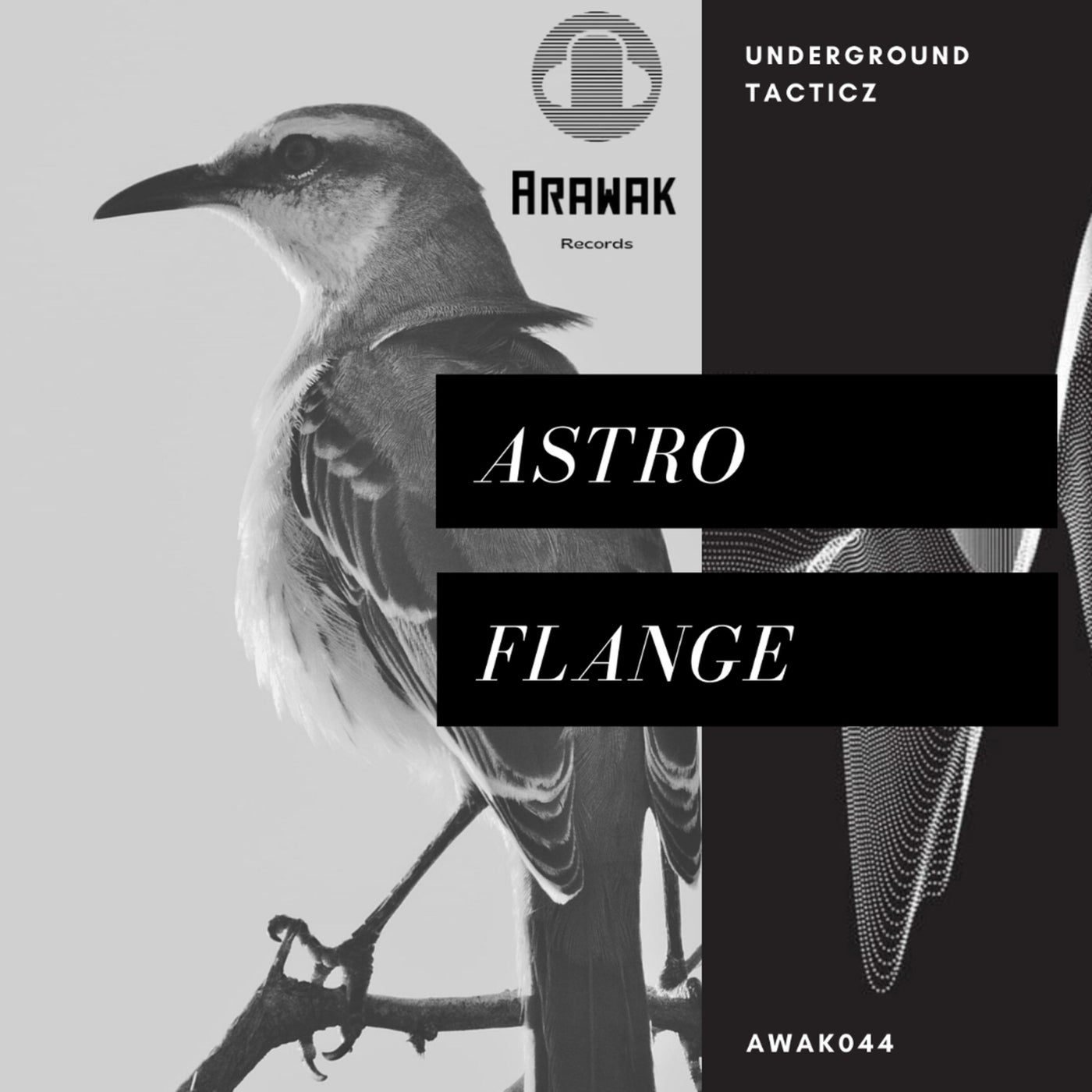 Astro Flange