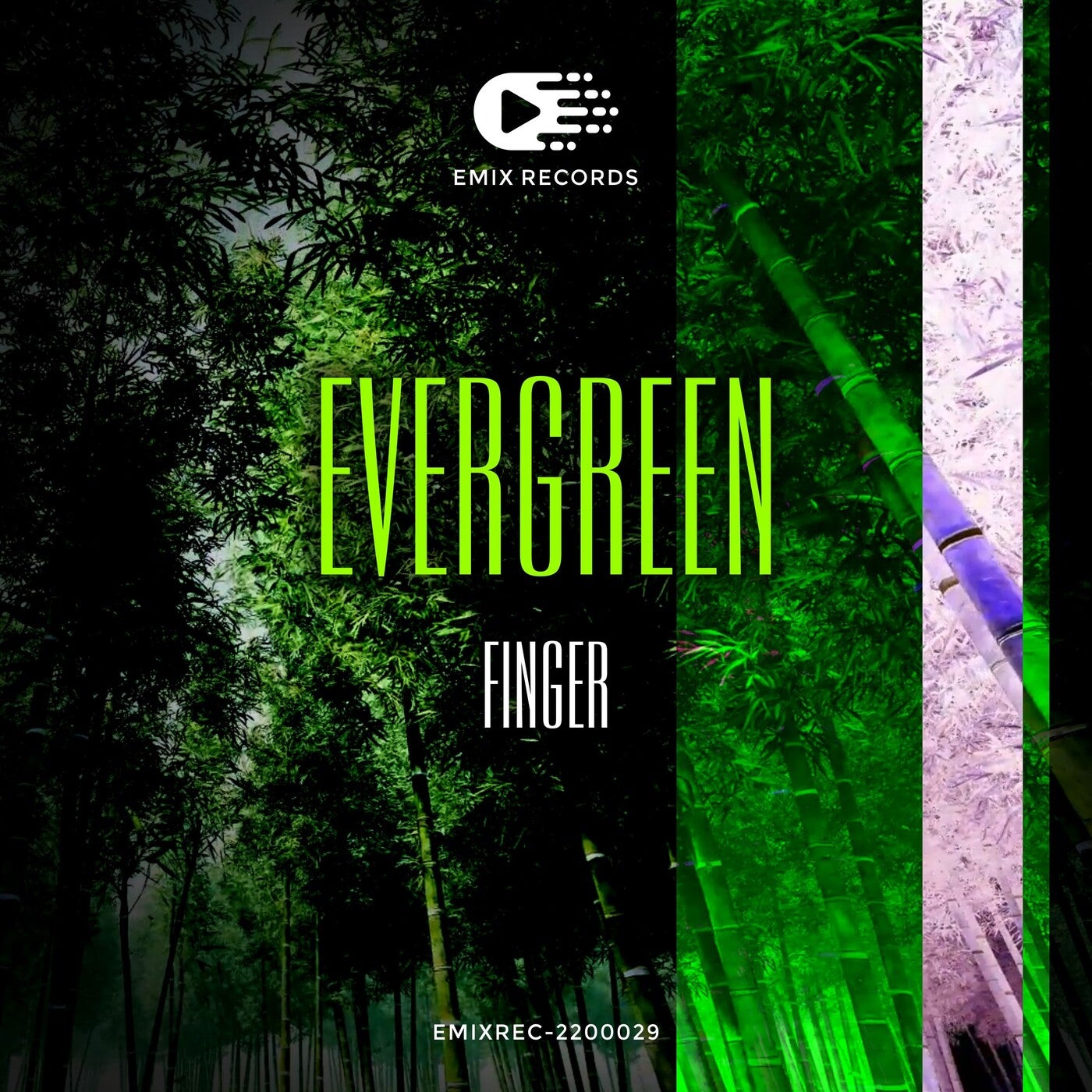 Evergreen