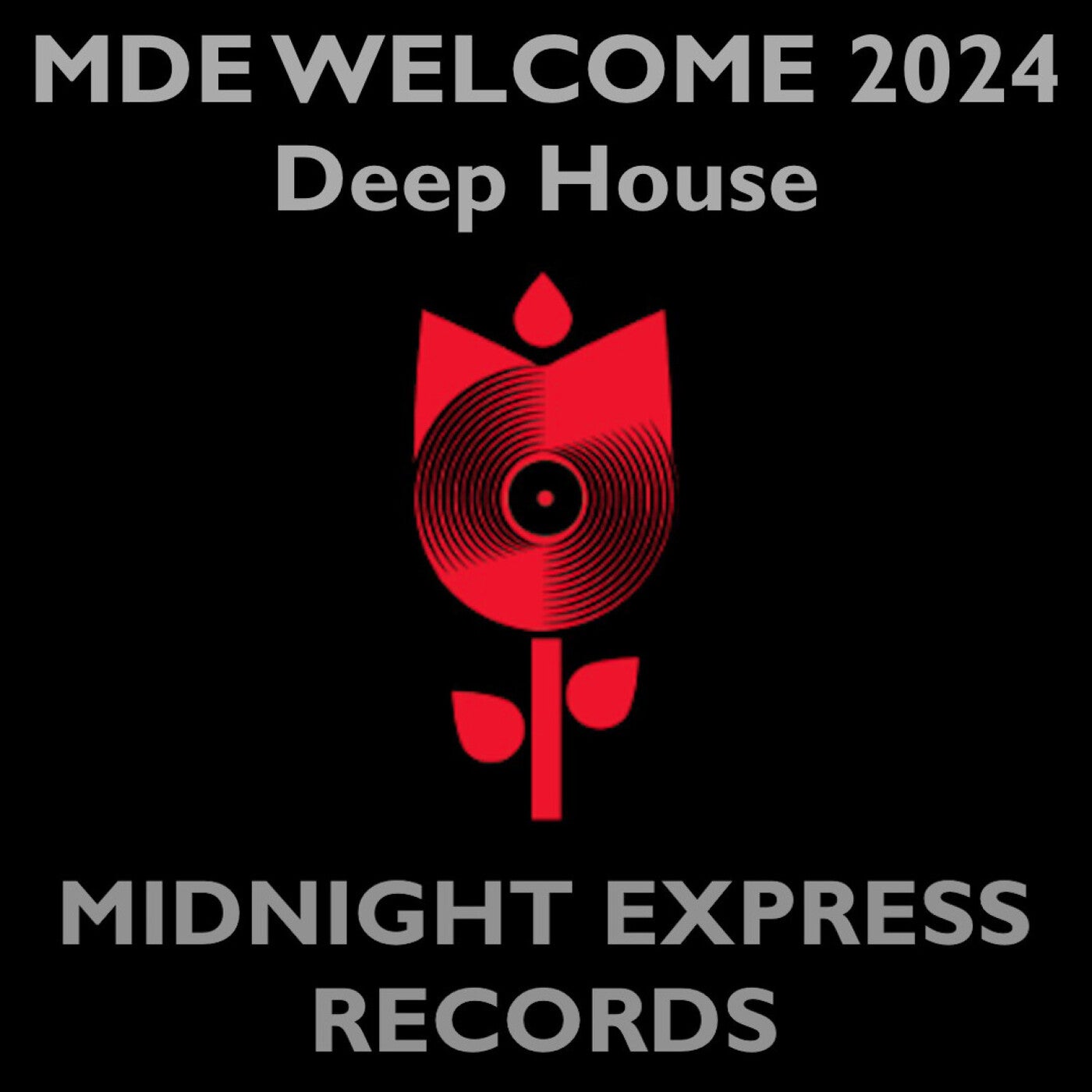 Welcome 2024 Deep House house