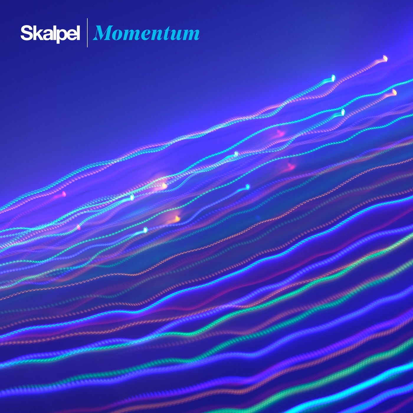 Momentum