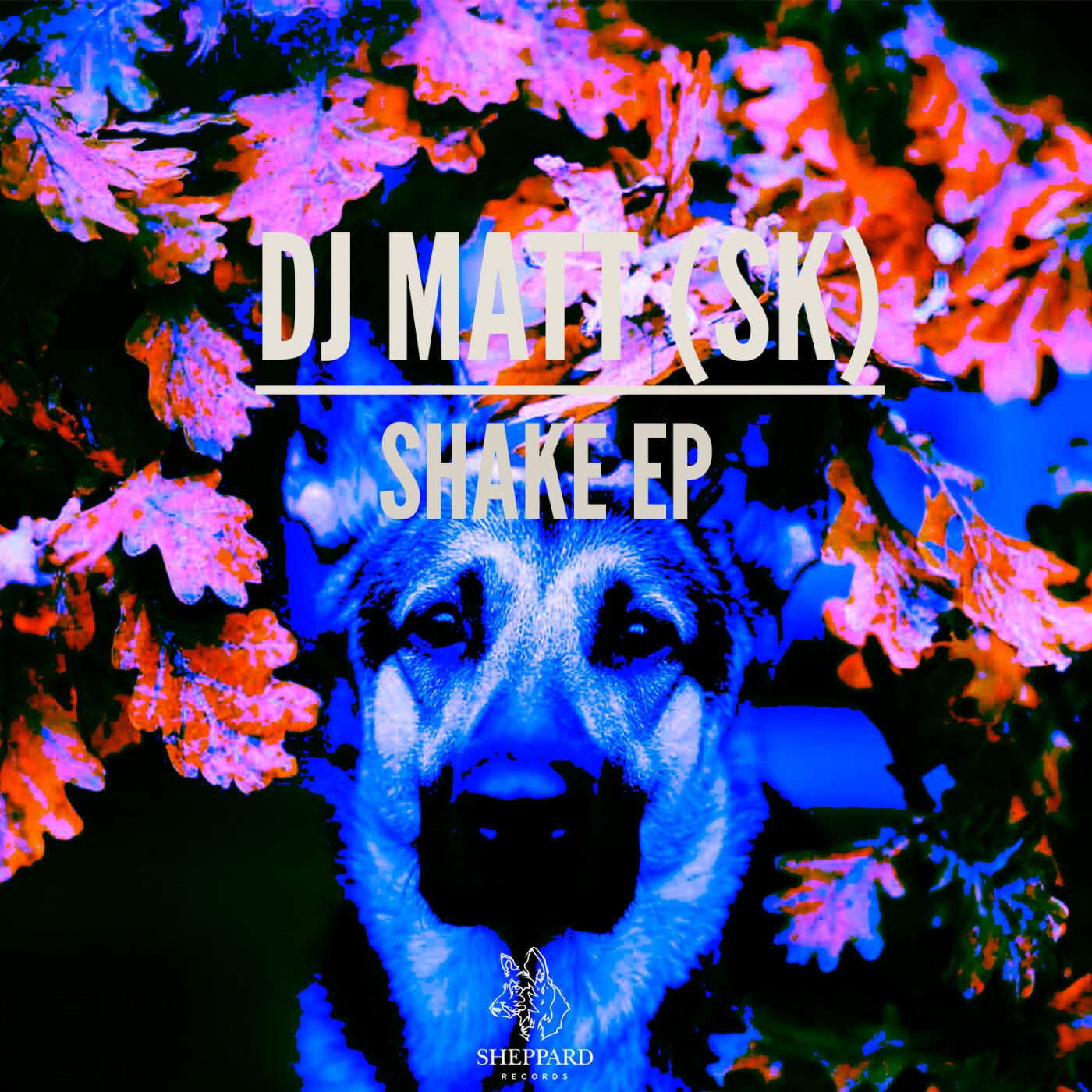 Shake Ep