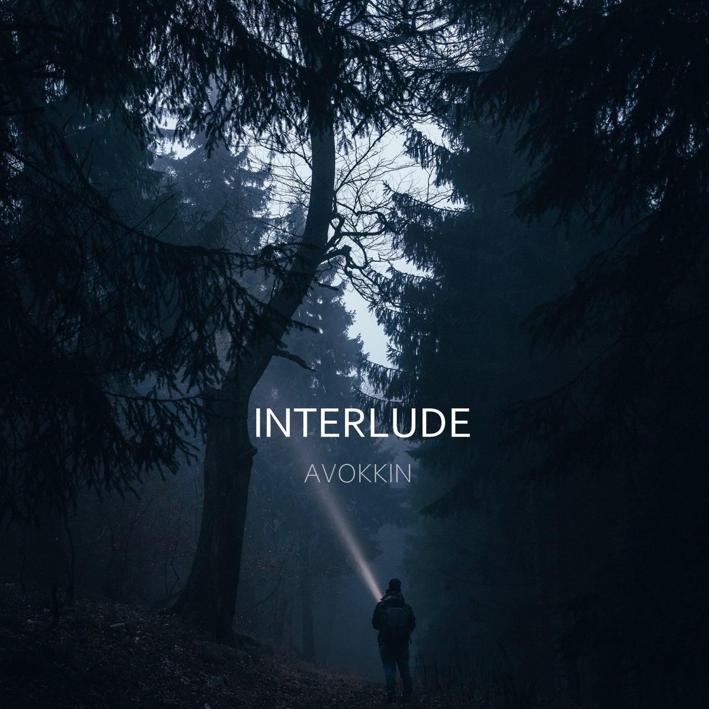 Interlude