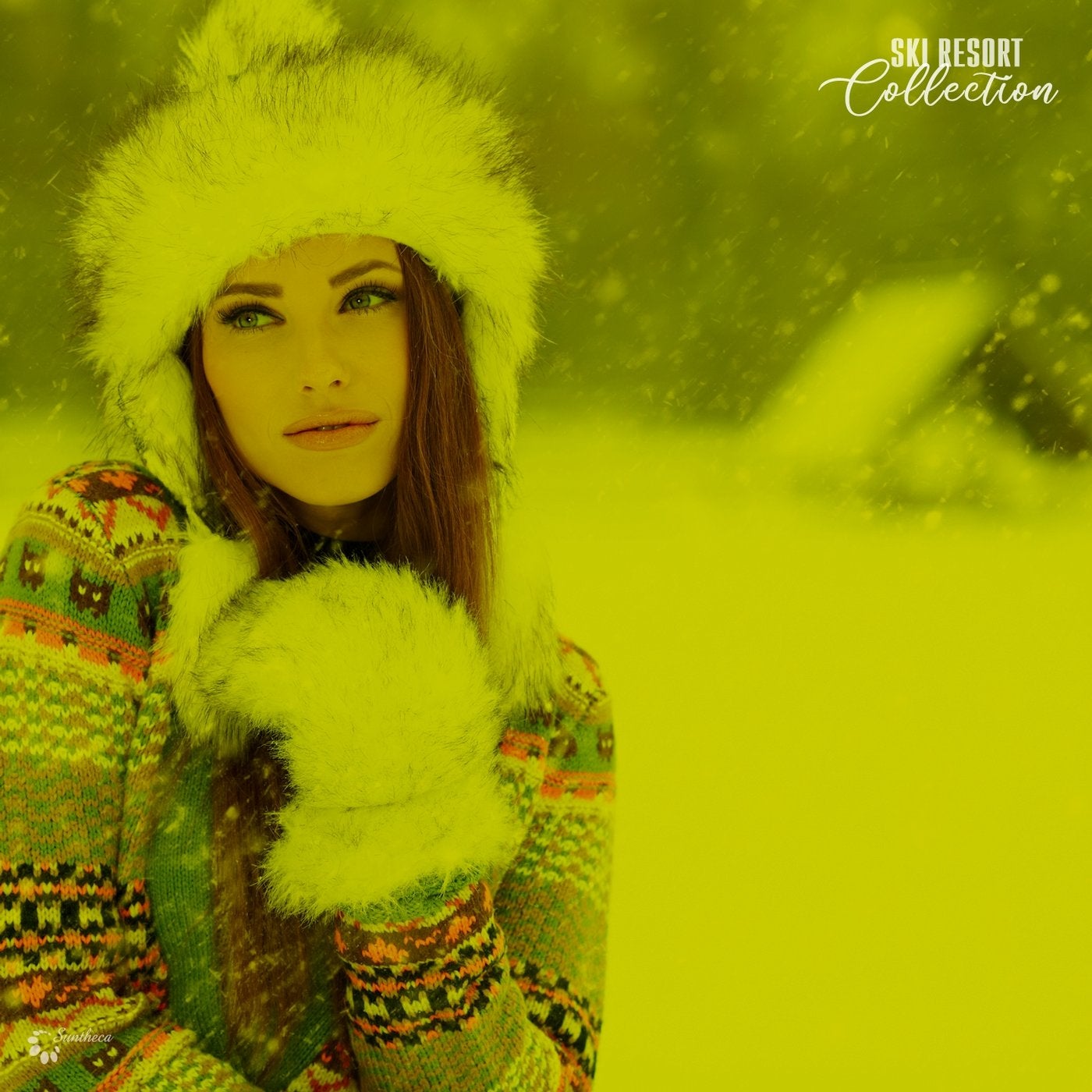 Ski Resort Collection