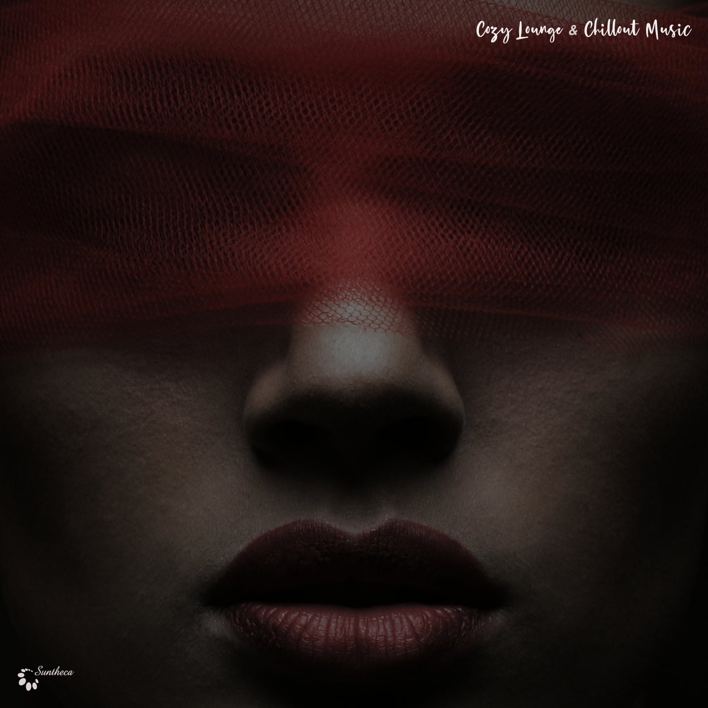 Cover art for Cozy Lounge & Chillout Music