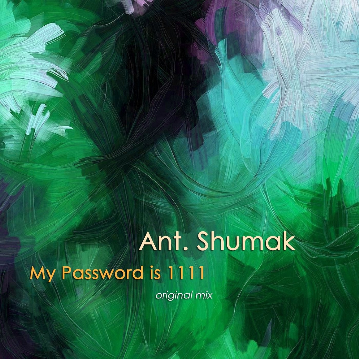 My Password Is 1111