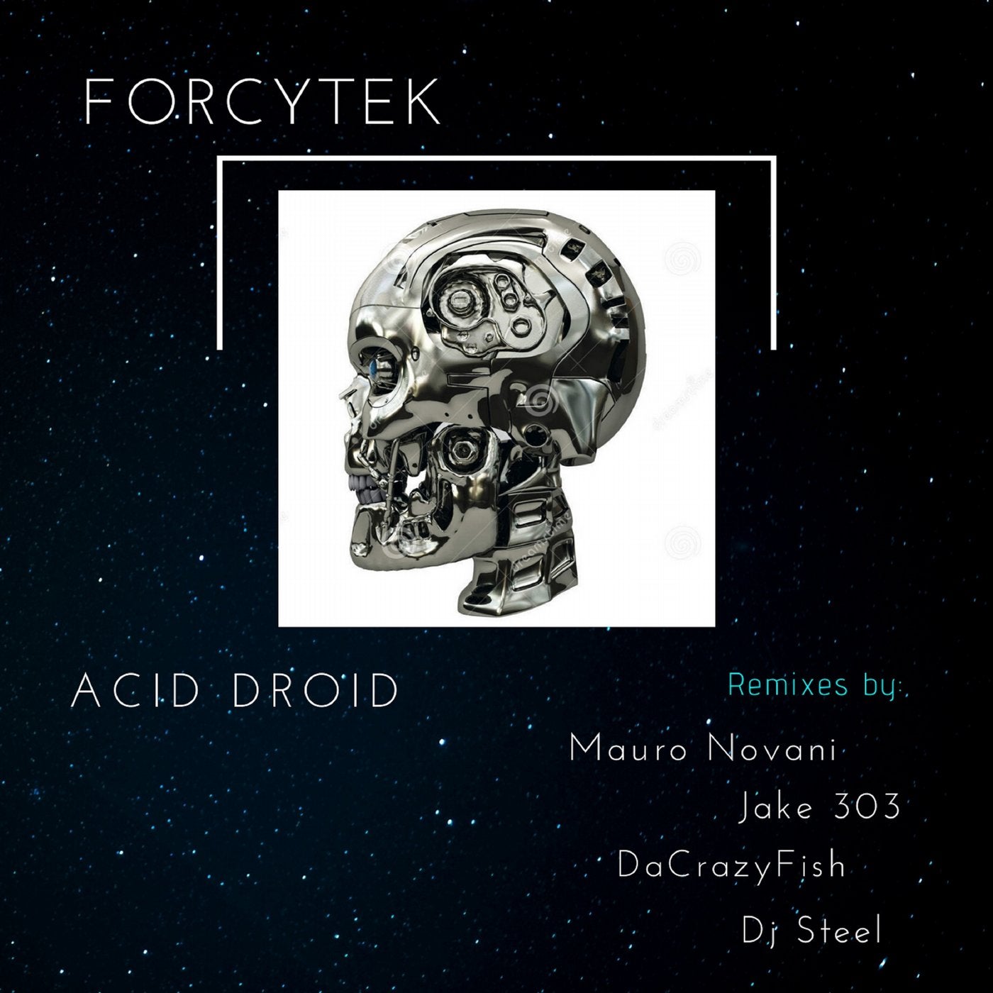 Acid Droid