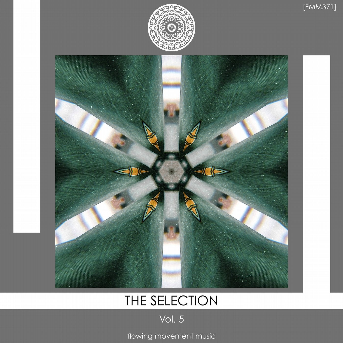 The Selection, Vol. 5