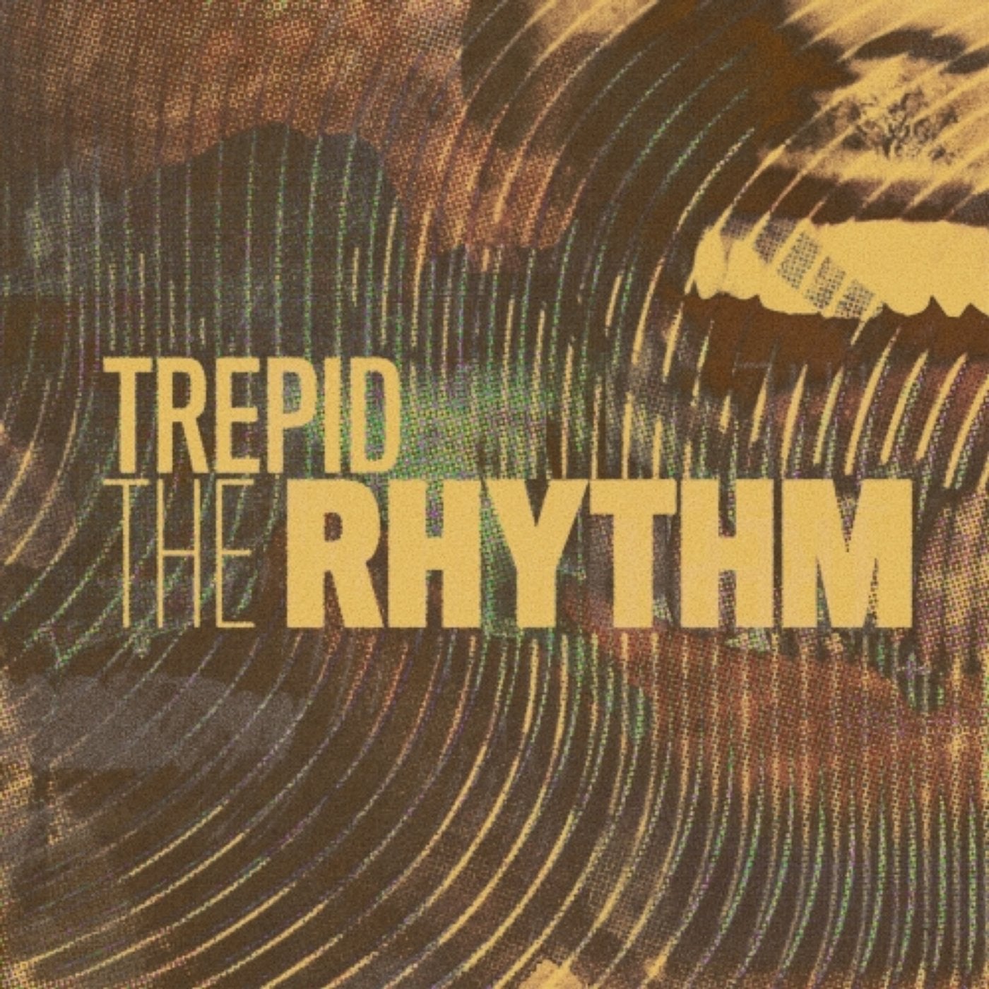 The Rhythm