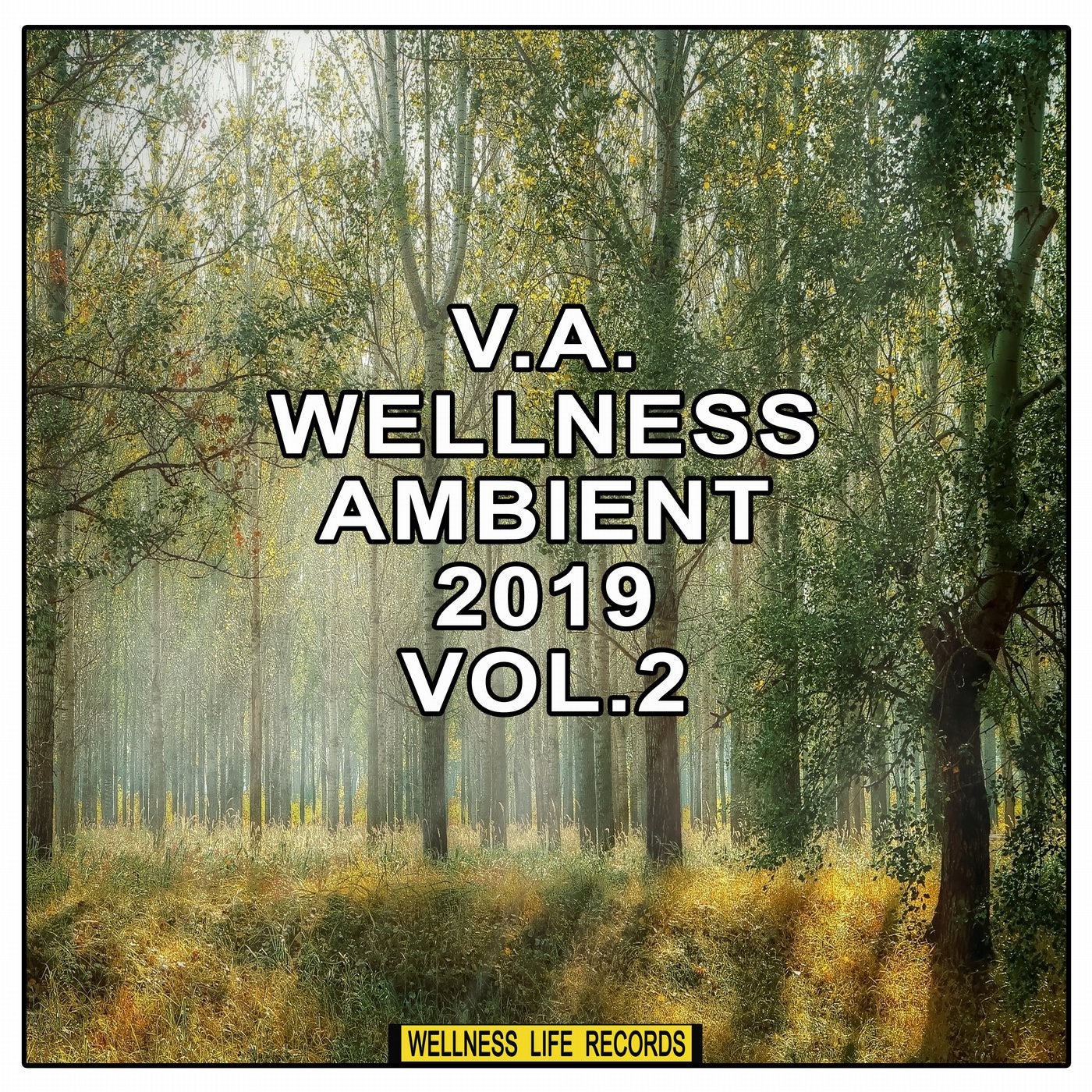 Wellness Ambient 2019, Vol. 2