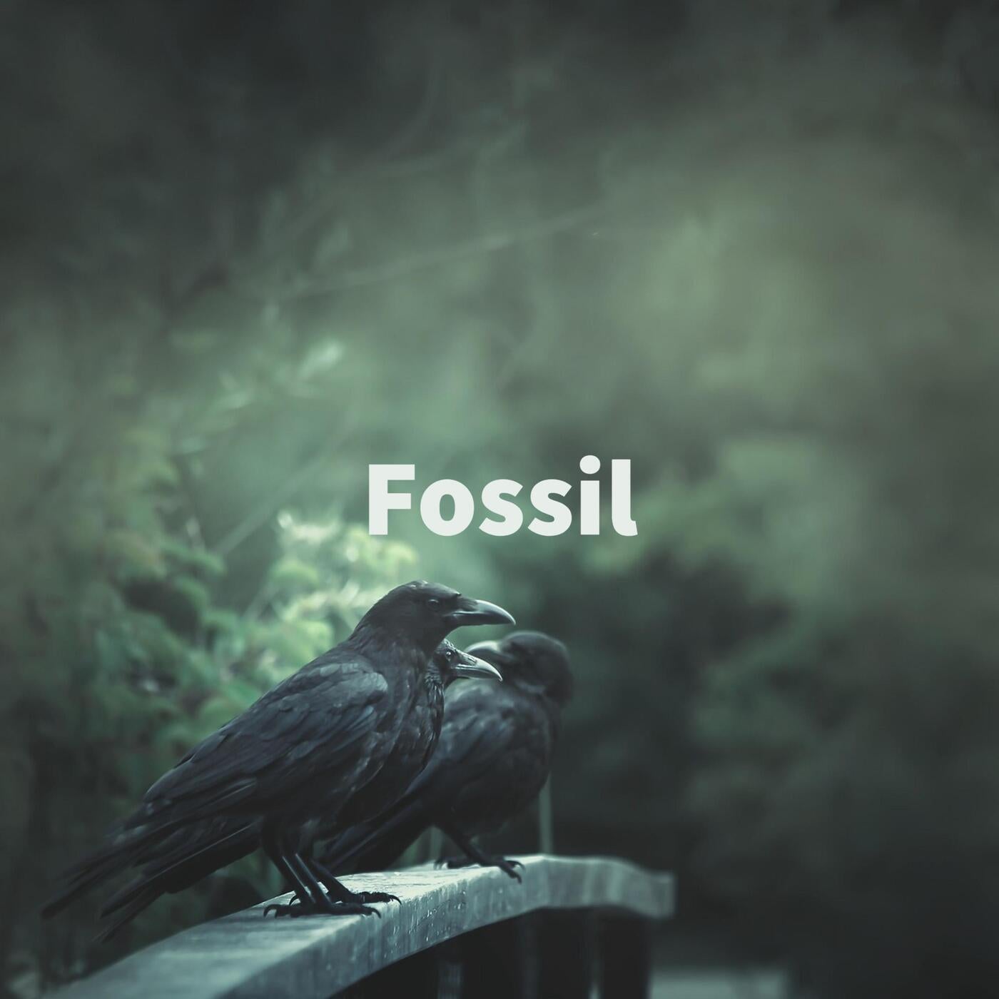 Fossil