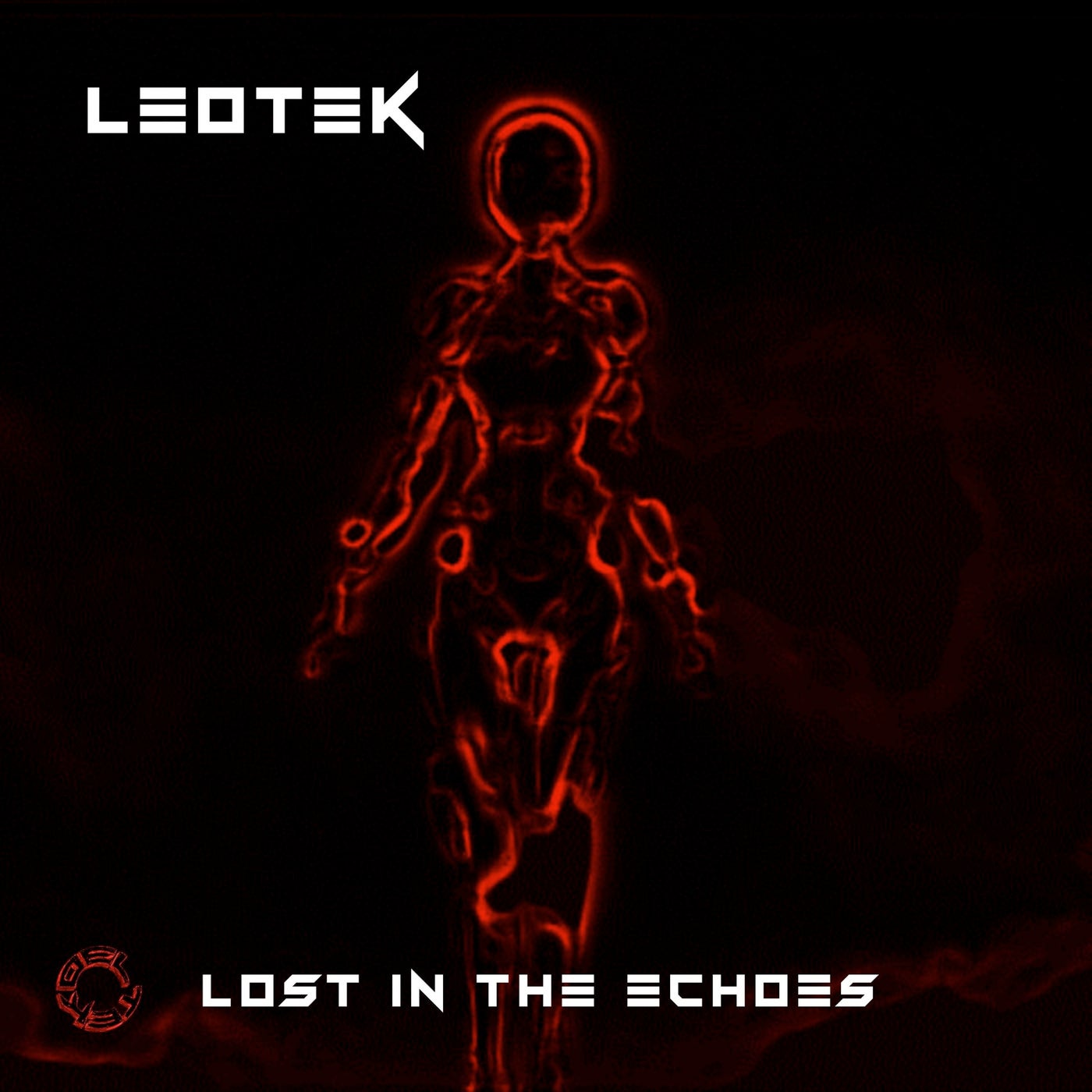 Lost in the Echoes