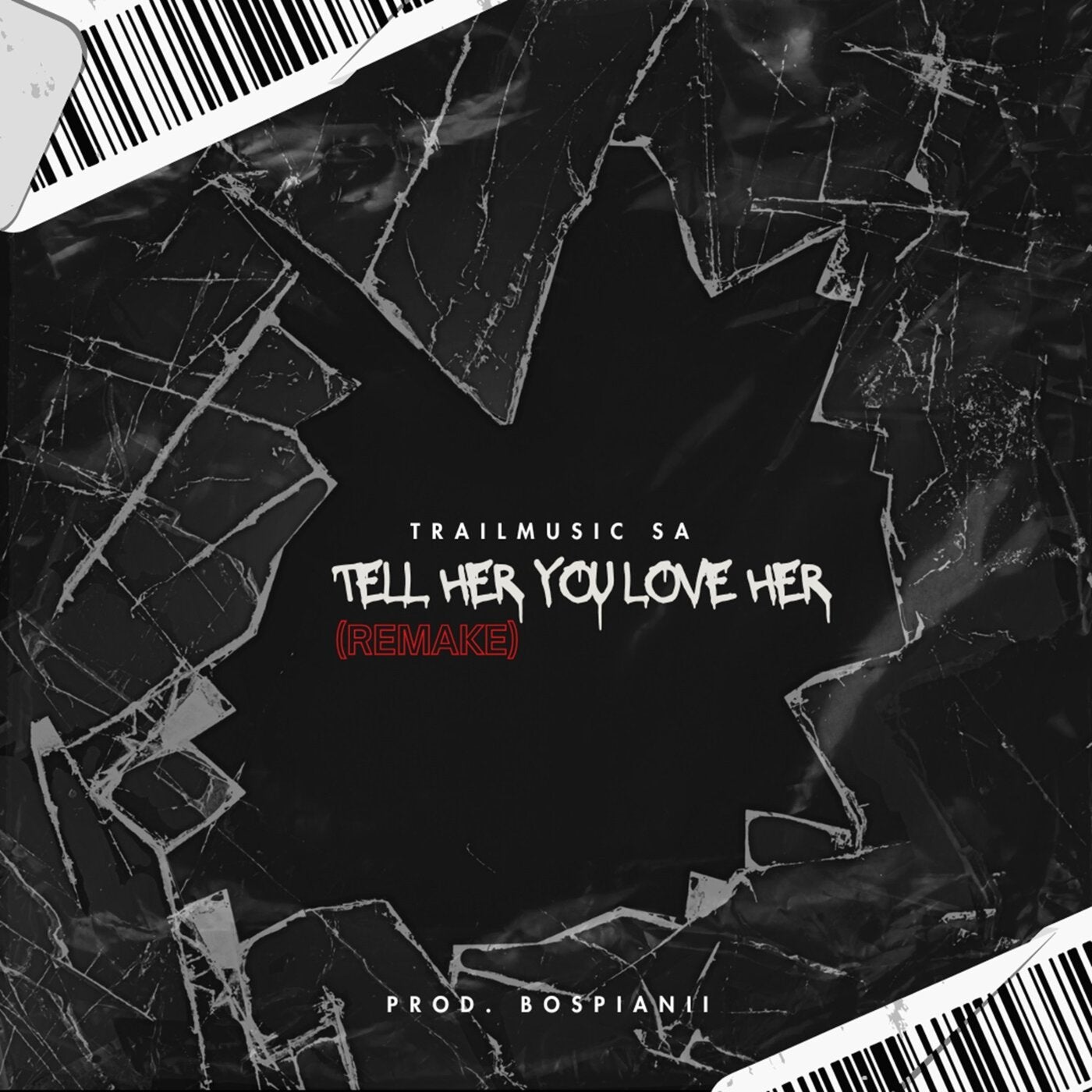 Tell Her You Love Her (Remake)