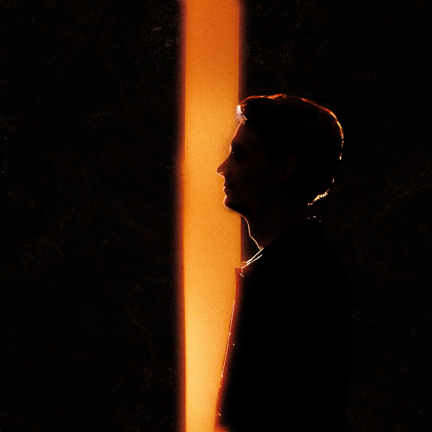 Cover art for Ascension