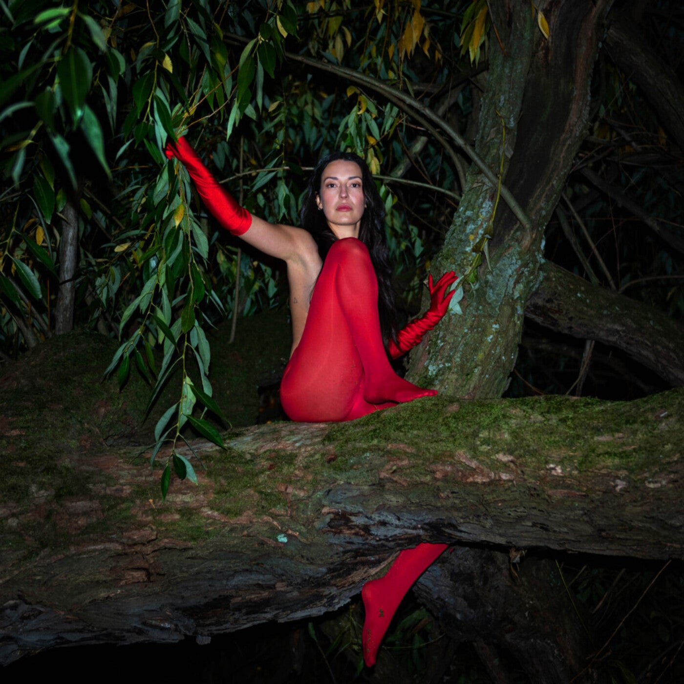 could’ve been quiet, but here we are