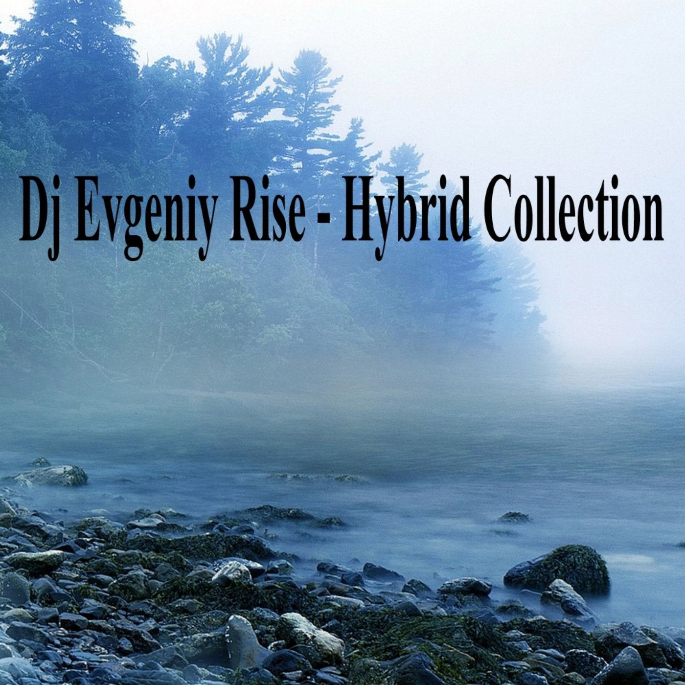 Hybrid Collection