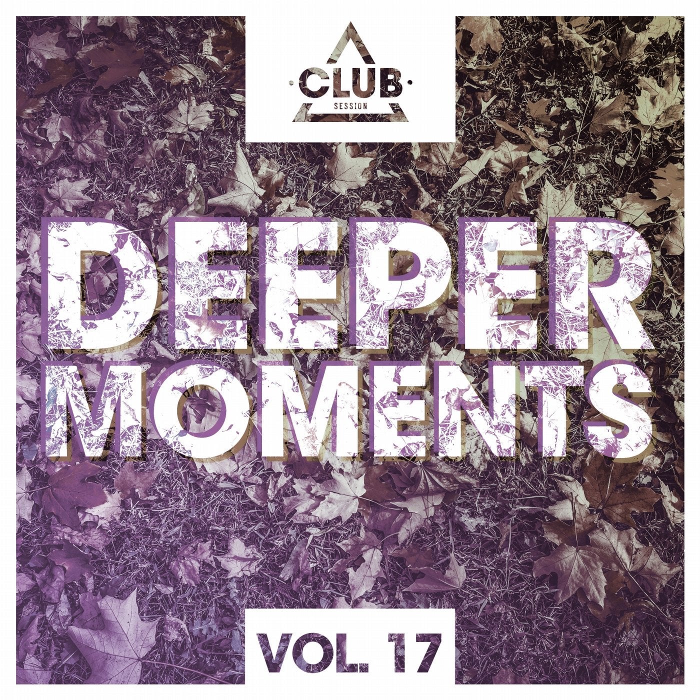 Deeper Moments Vol. 17