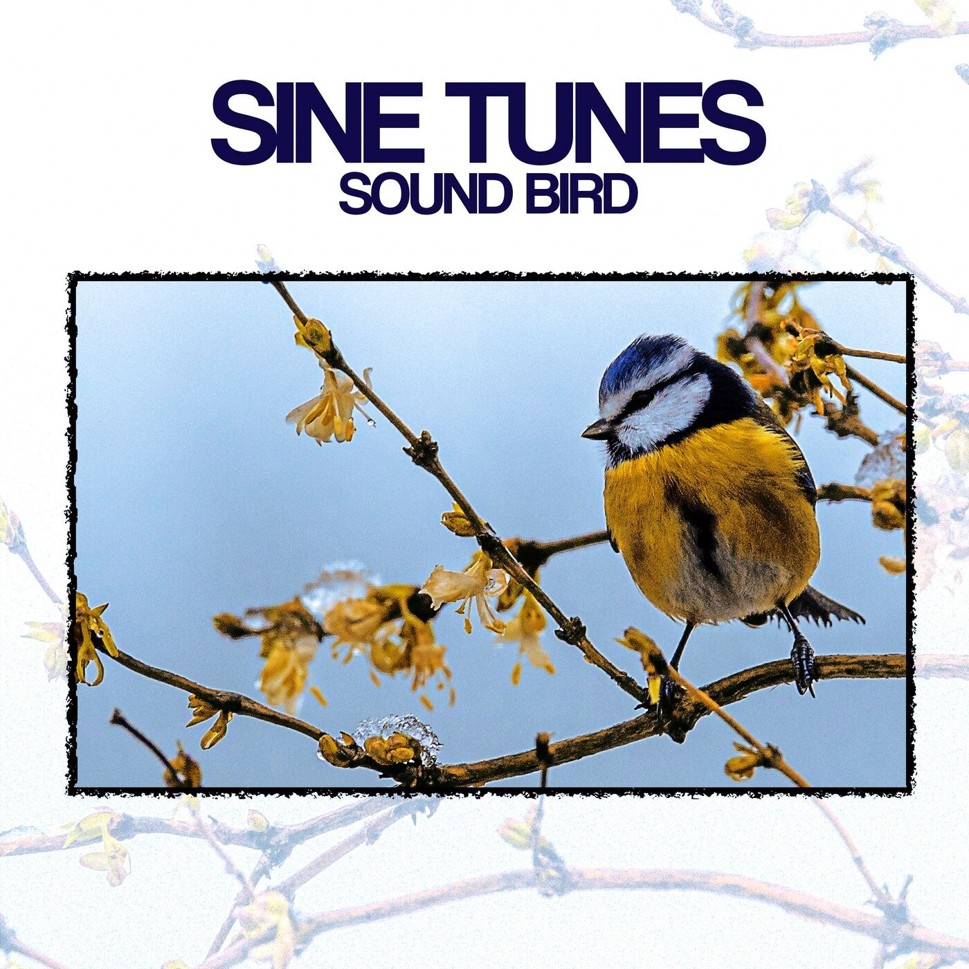 Sound Bird