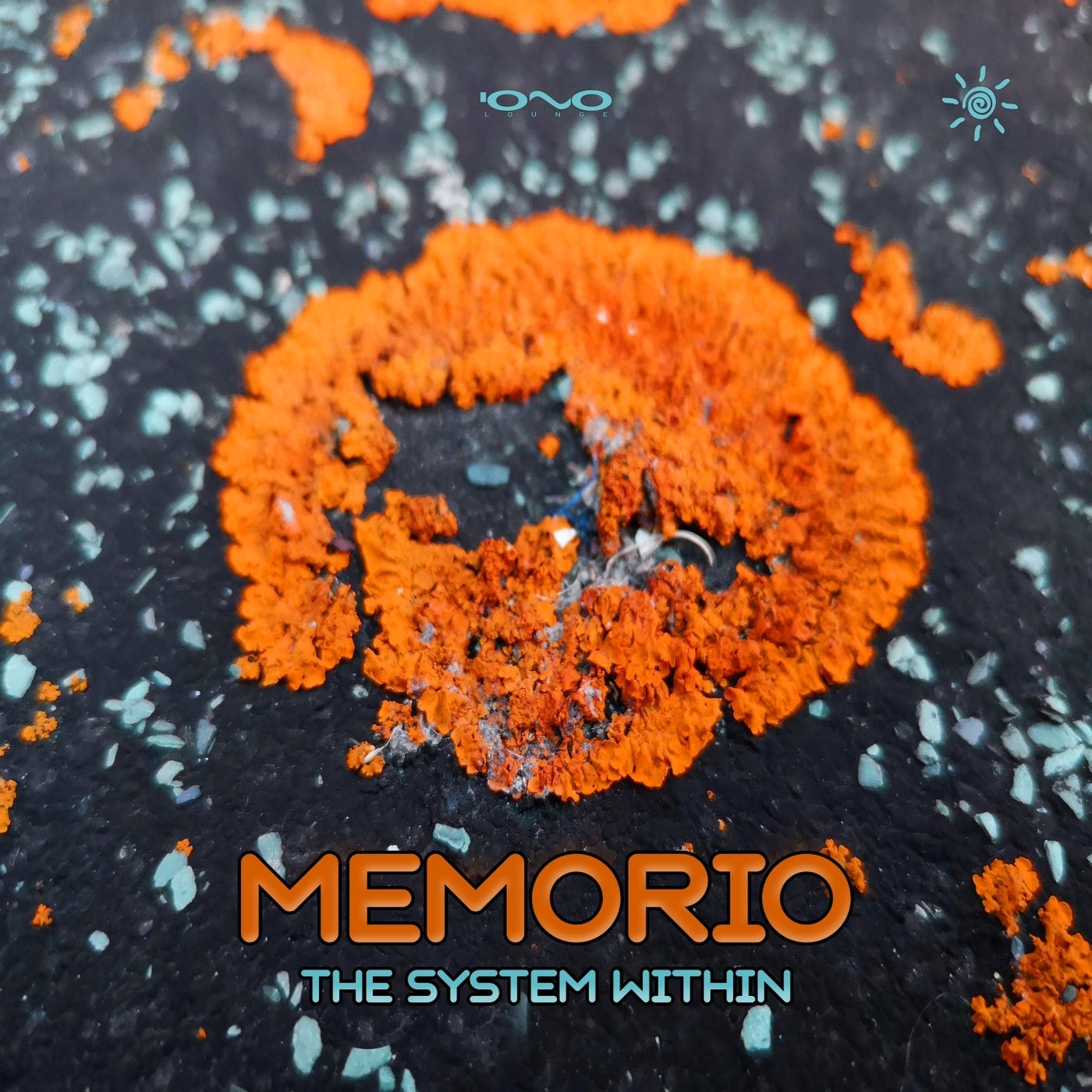 The System Within