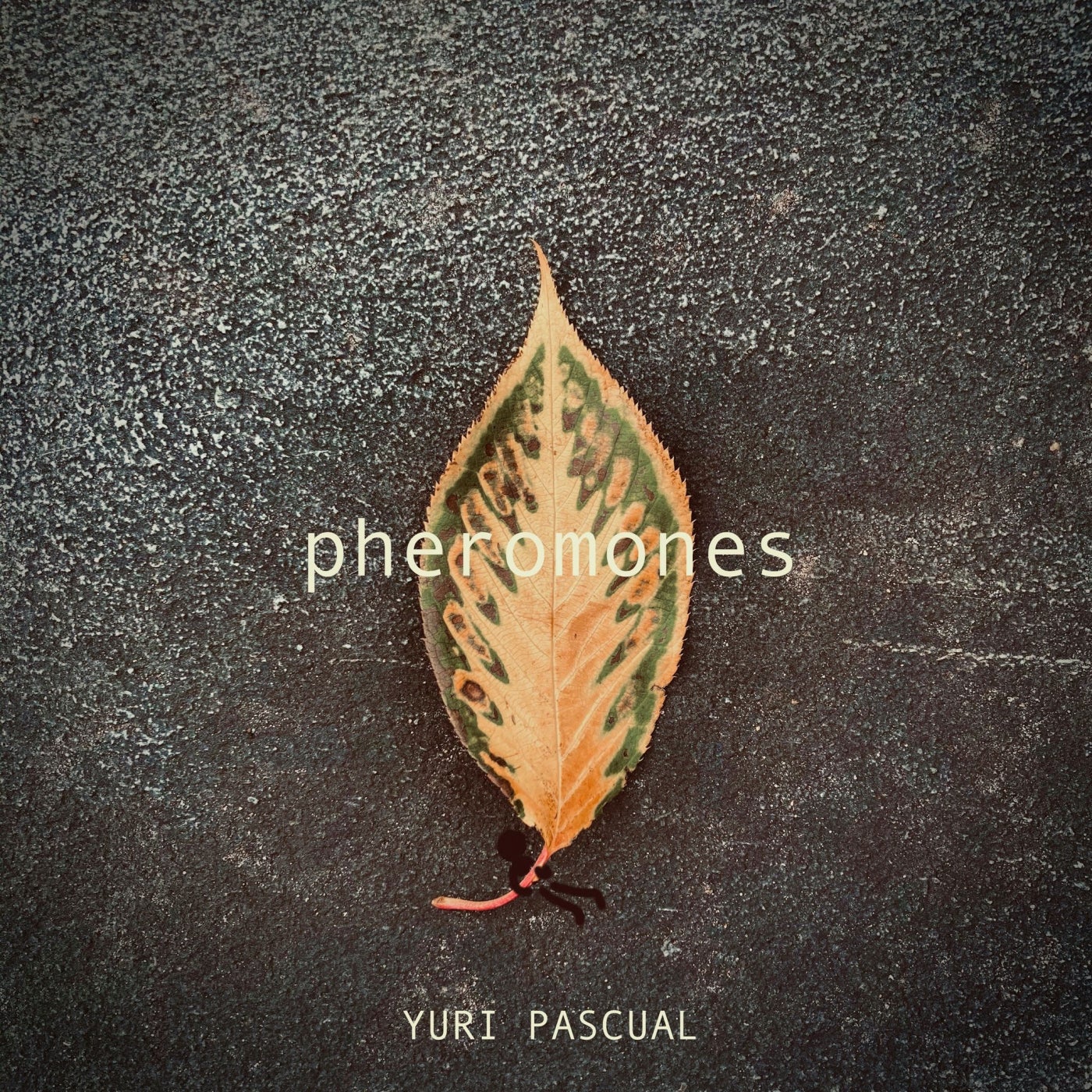 Pheromones