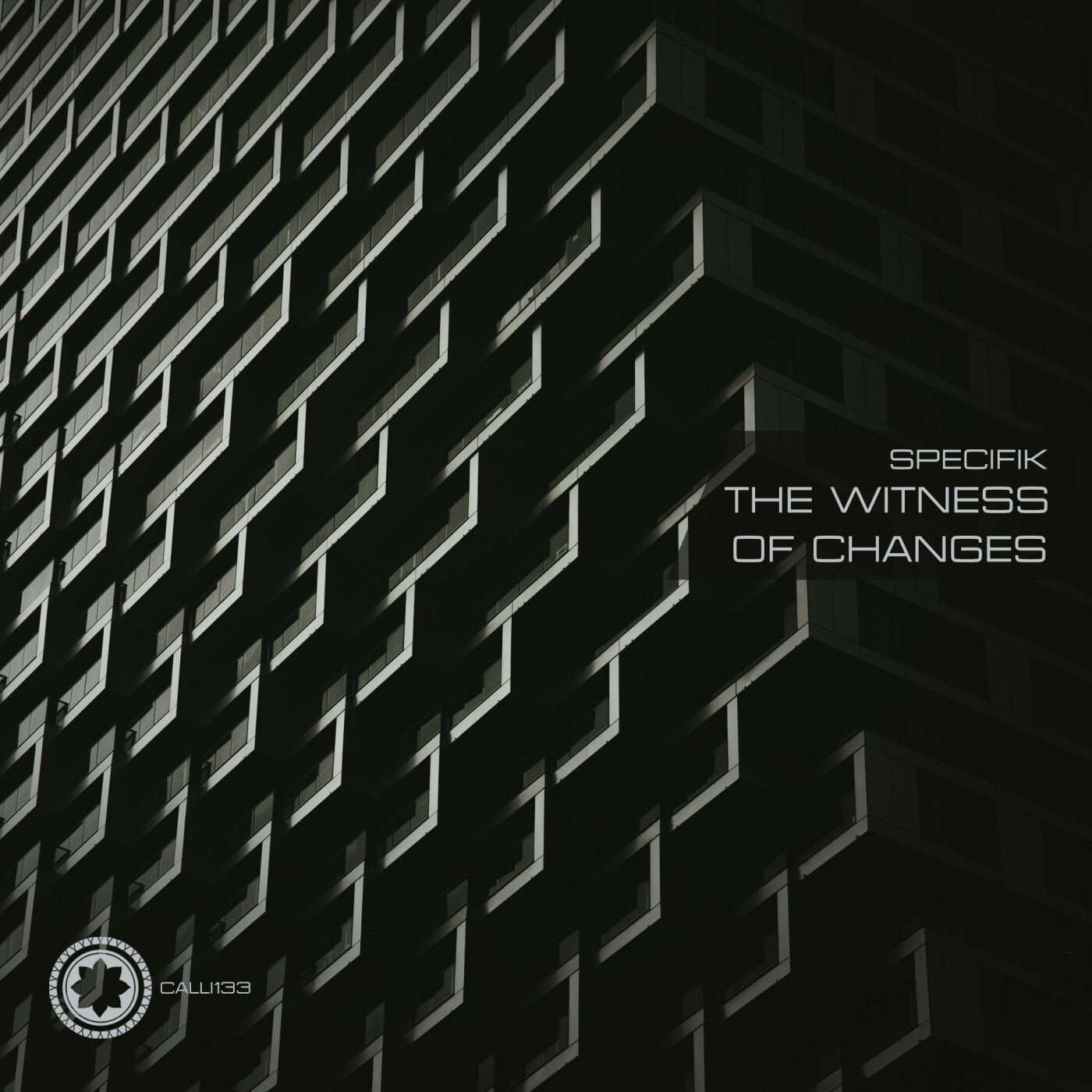 The Witness Of Changes