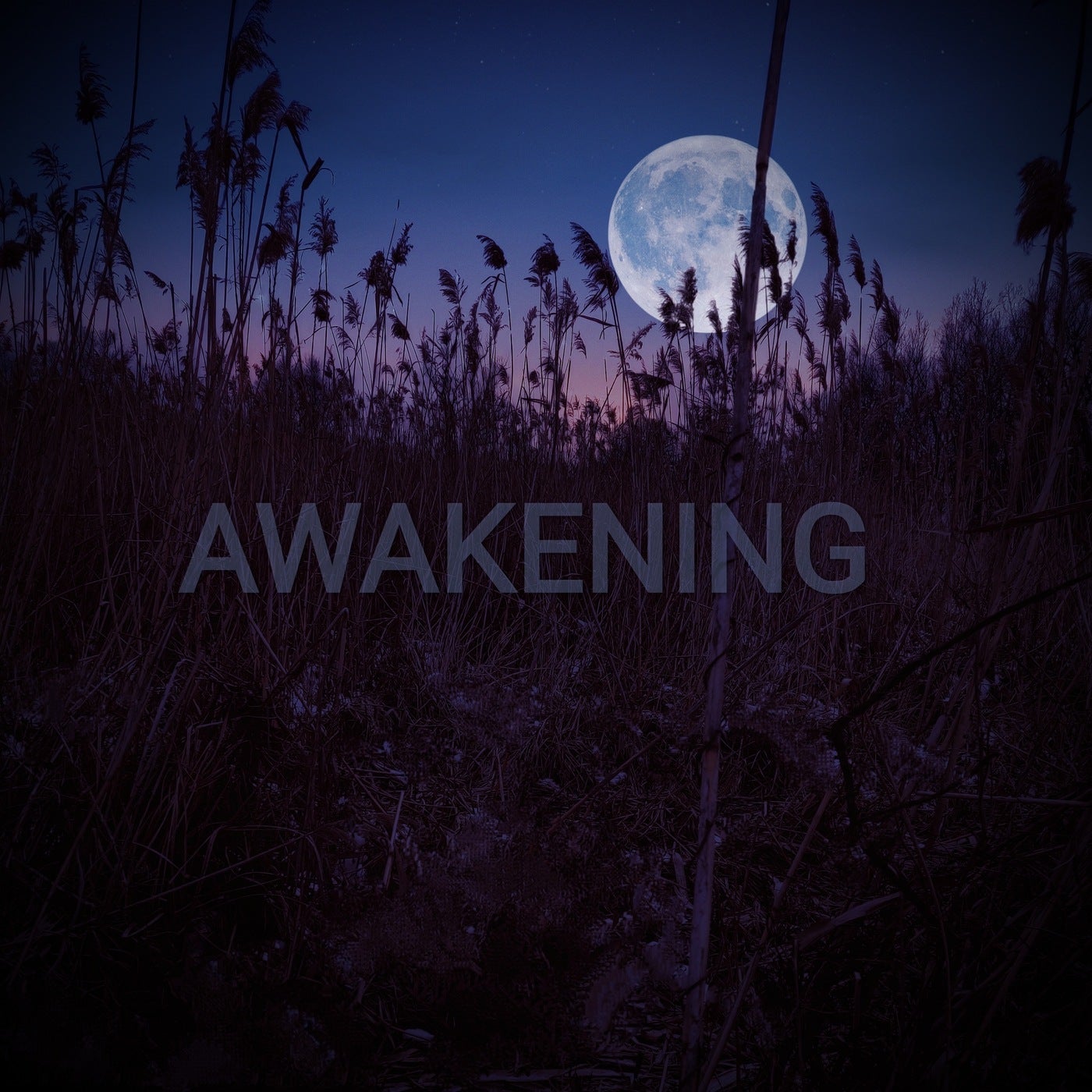 Awakening