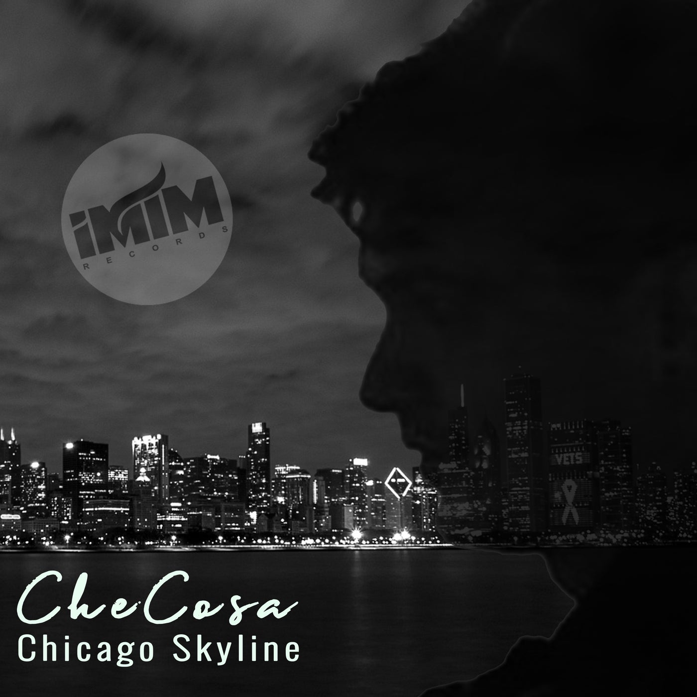 Chicago Skyline