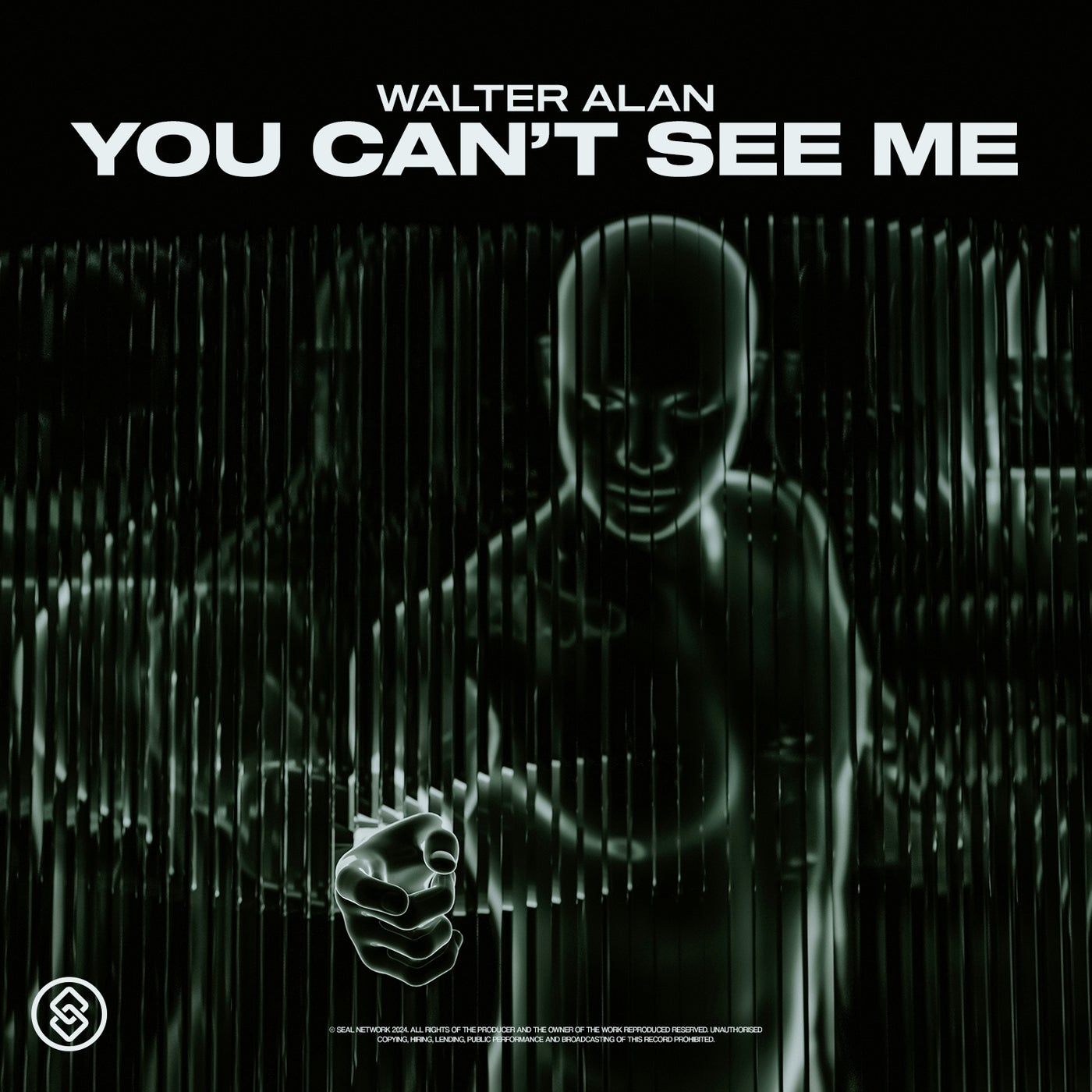 You Can't See Me