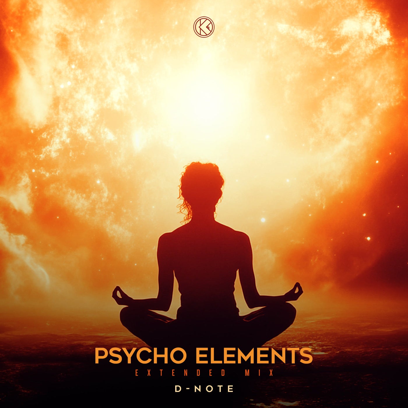 Psycho Elements (Extended Mix)