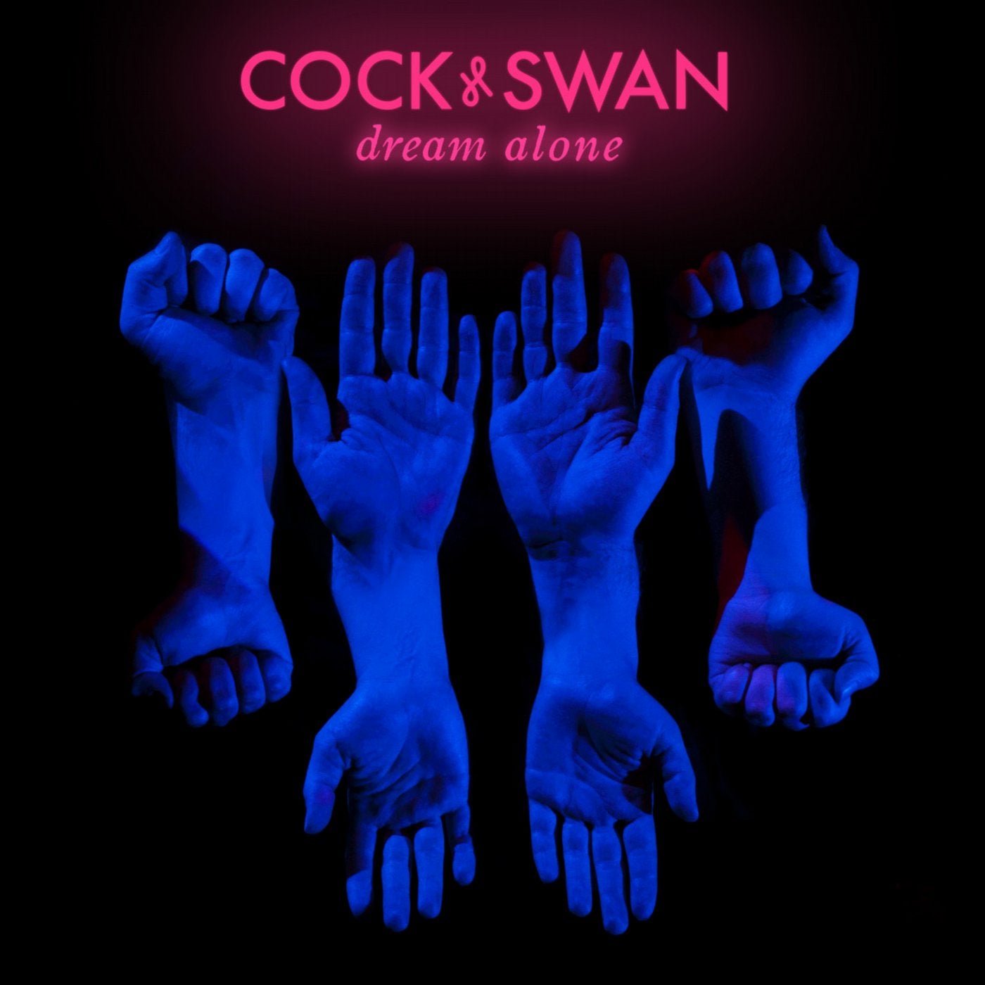 Cock Dreams