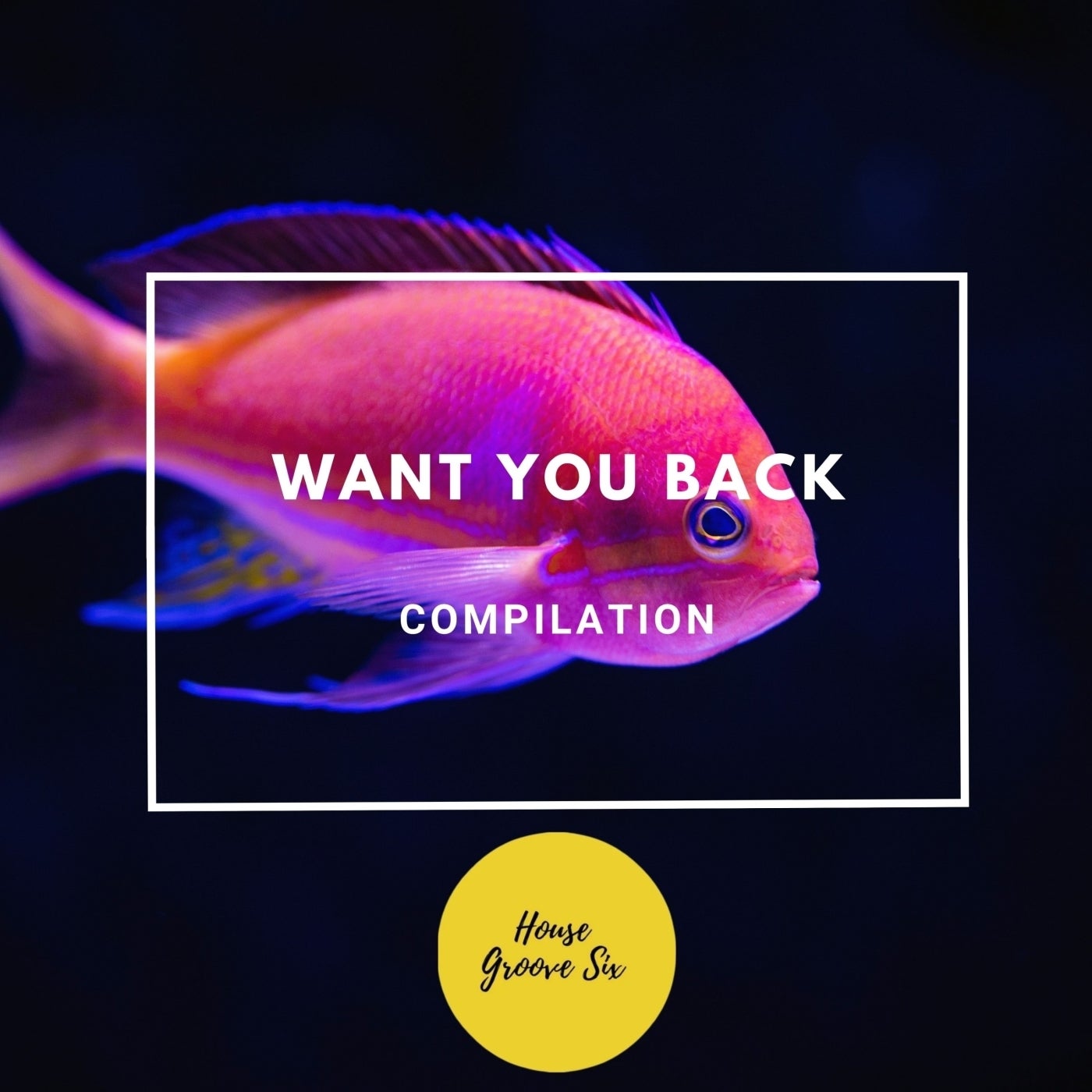 Want You Back