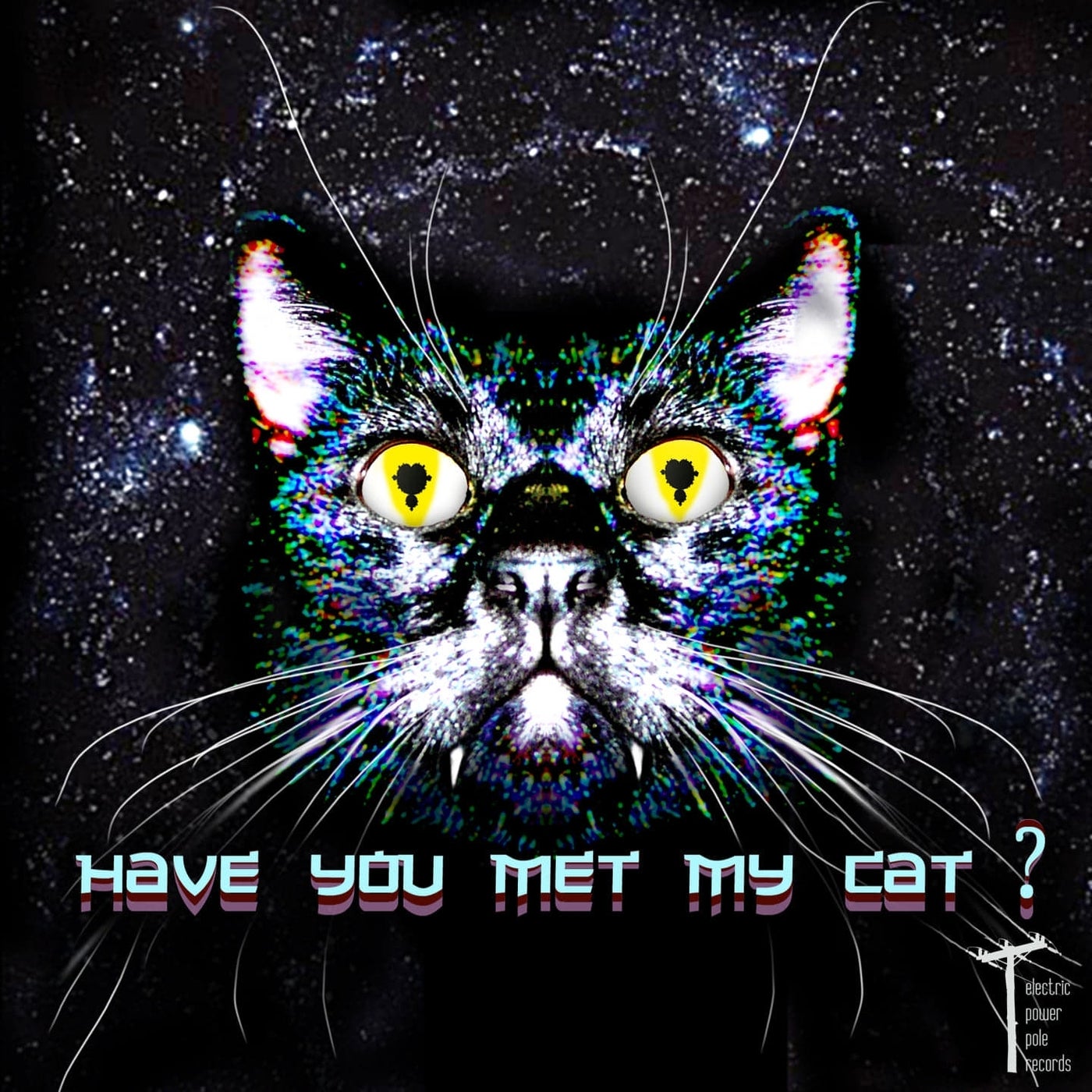 Have you met my cat?