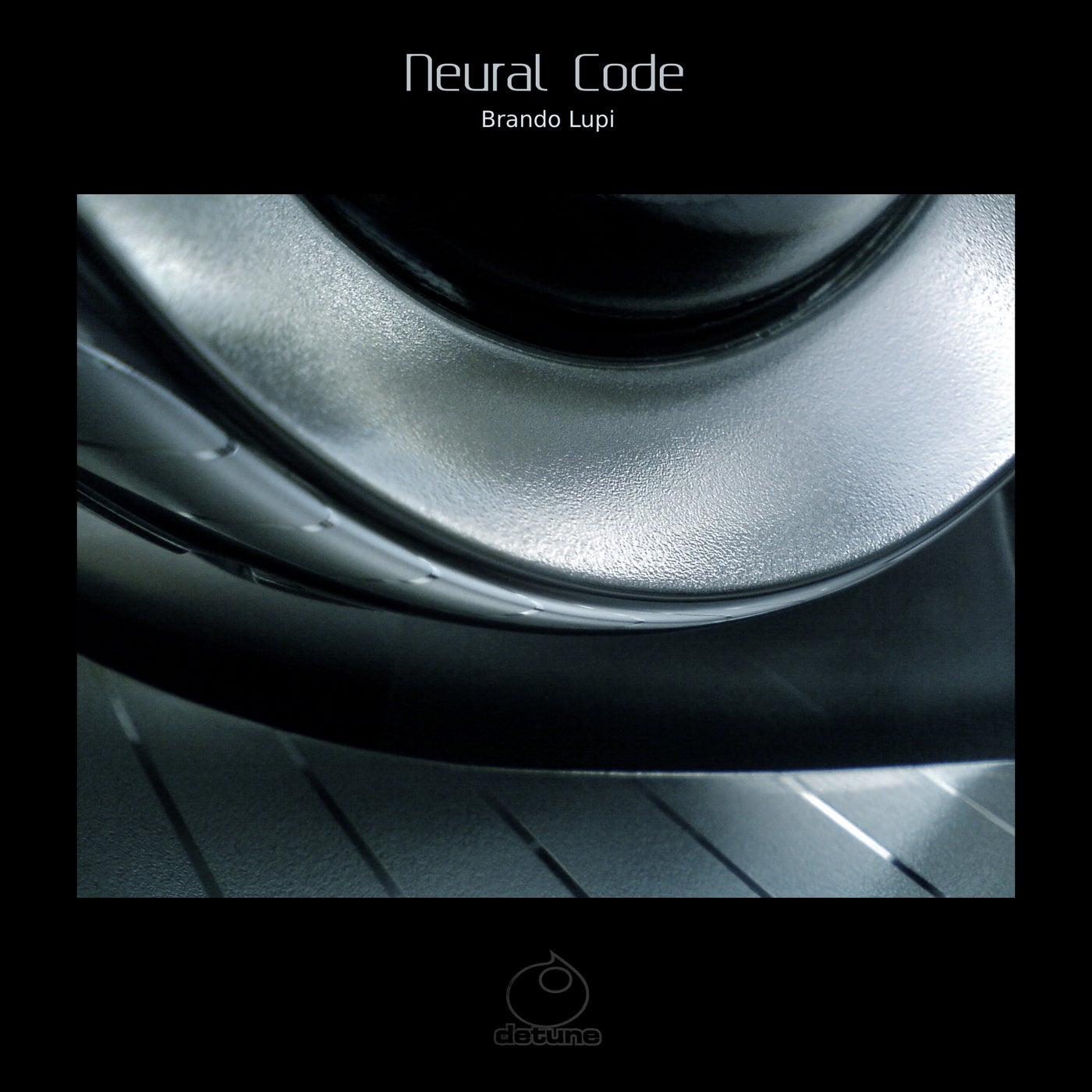 Neural Code