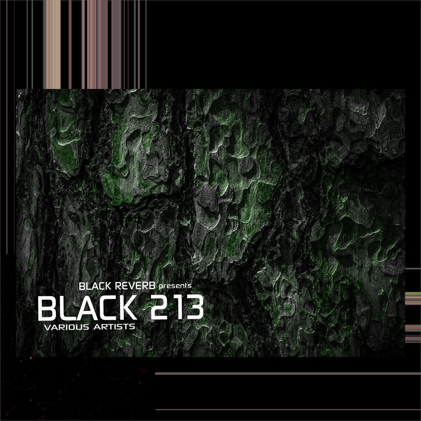Black 213